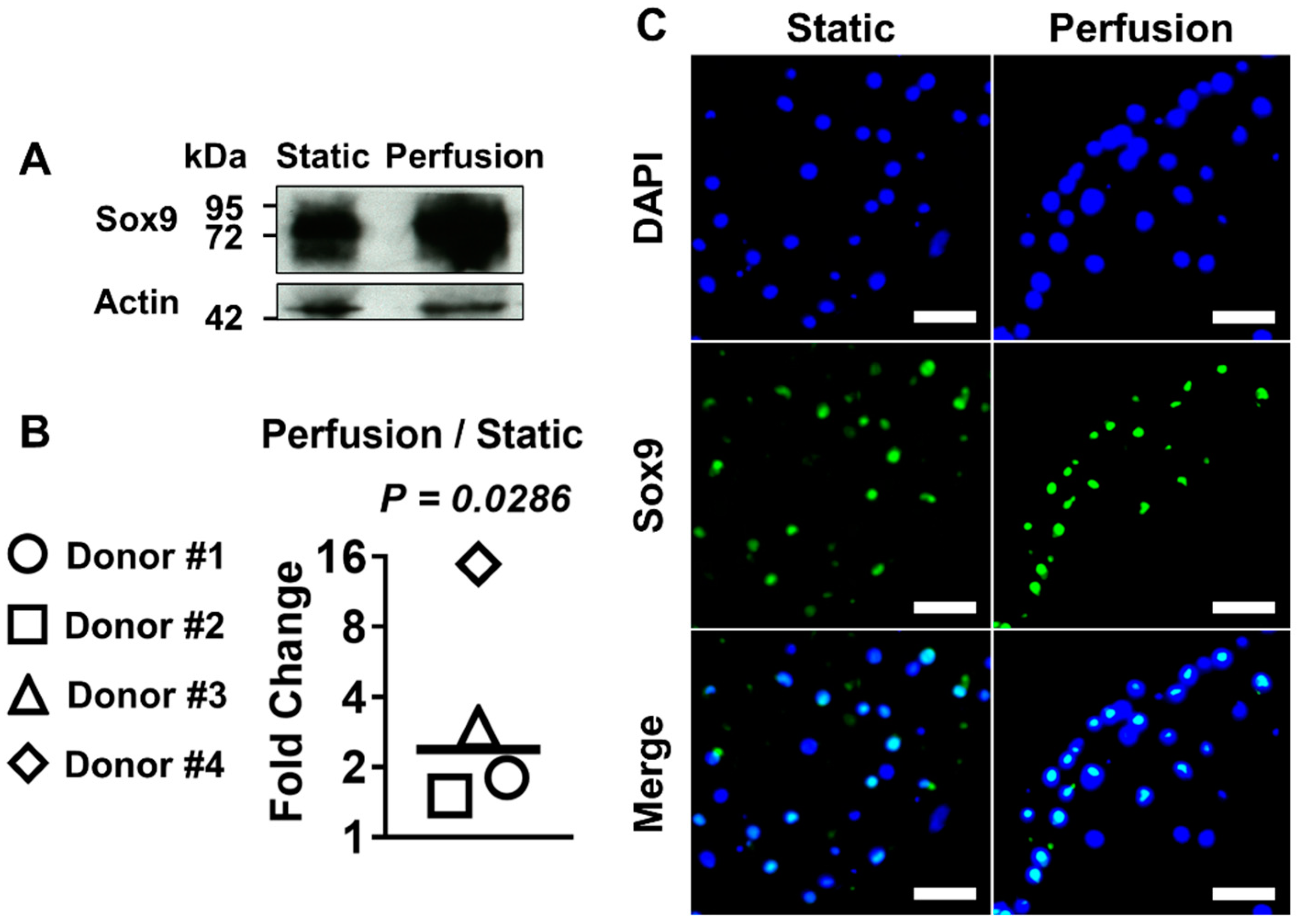 Applsci 11 08923 g005