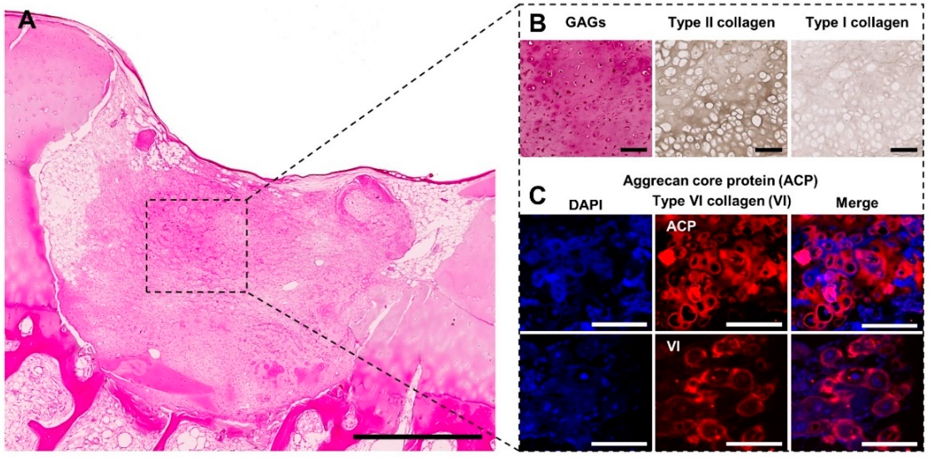Applsci 11 08923 g007