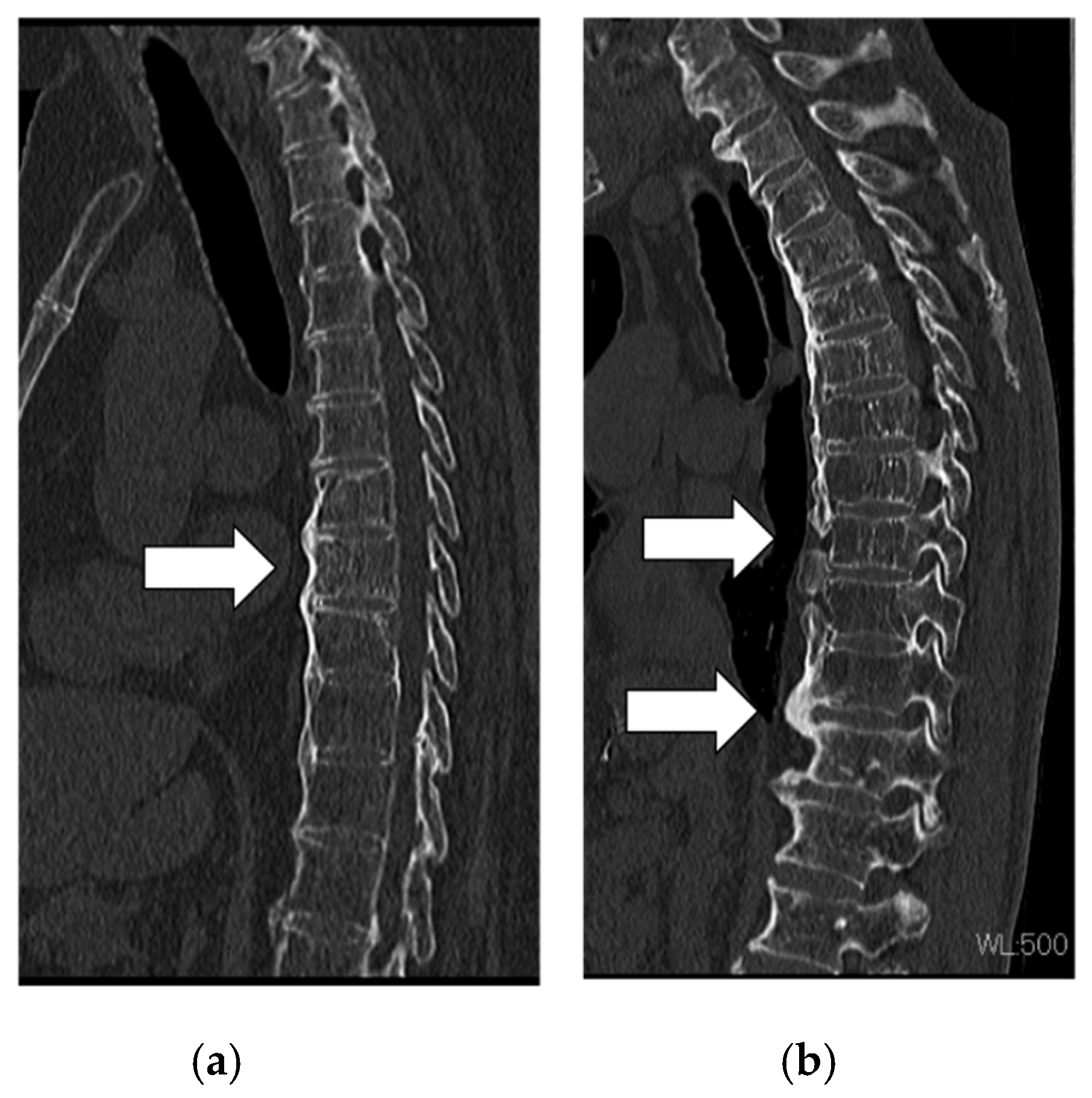 Applsci 11 08944 g001