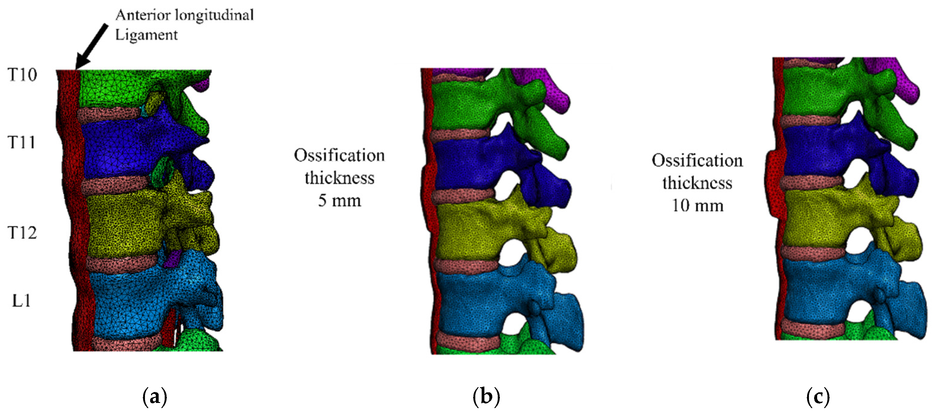 Applsci 11 08944 g003