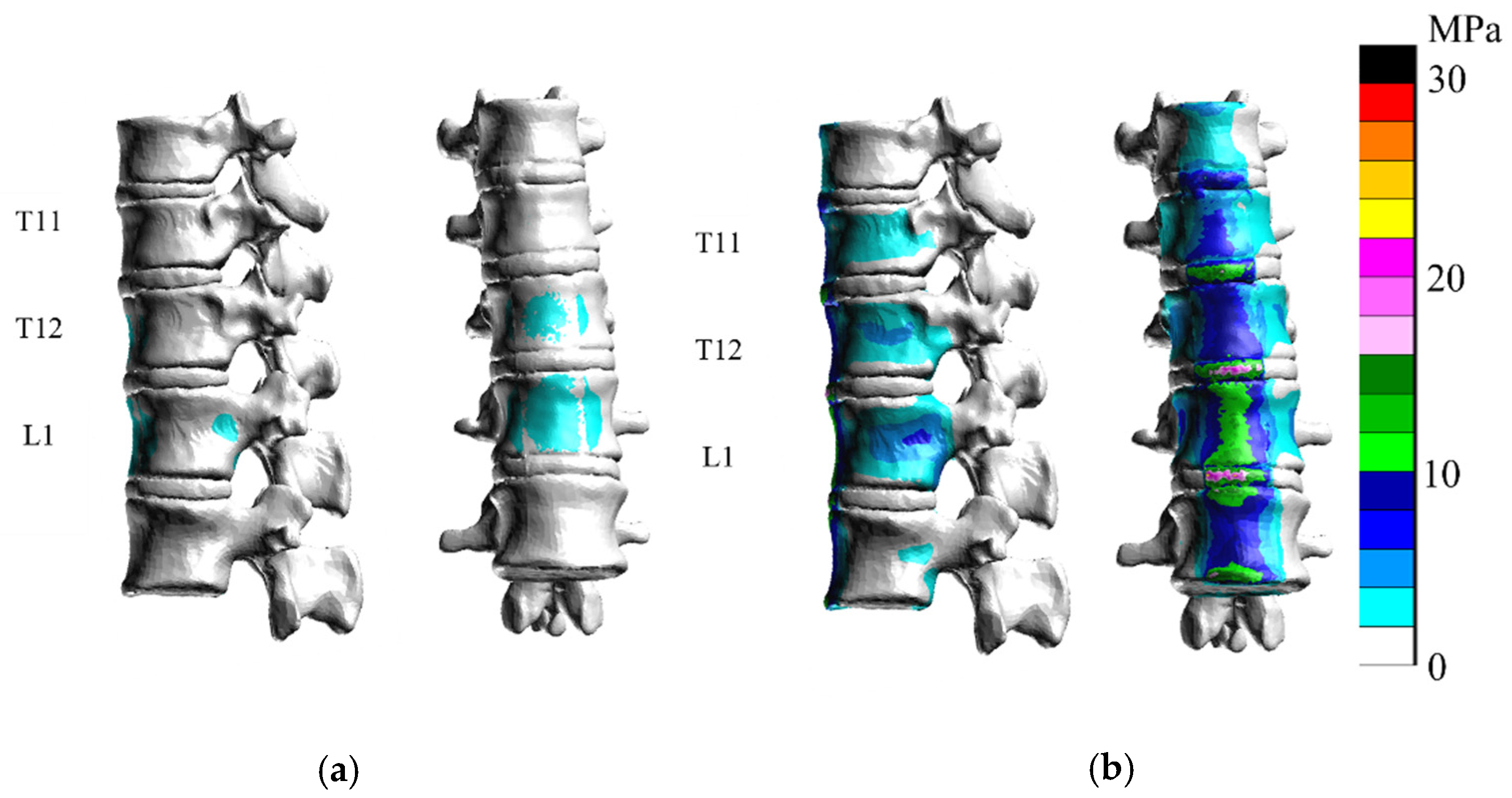 Applsci 11 08944 g011