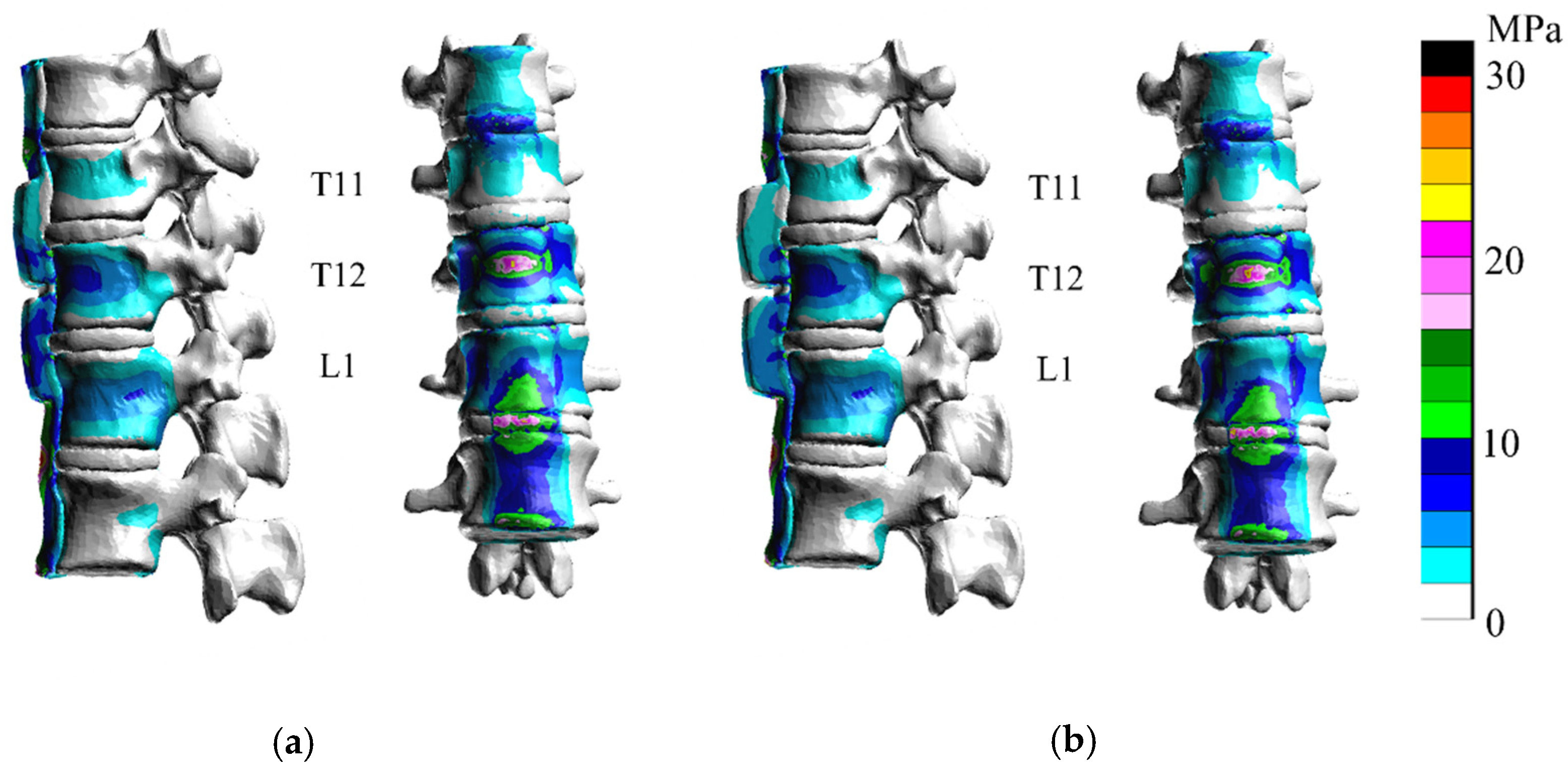 Applsci 11 08944 g013