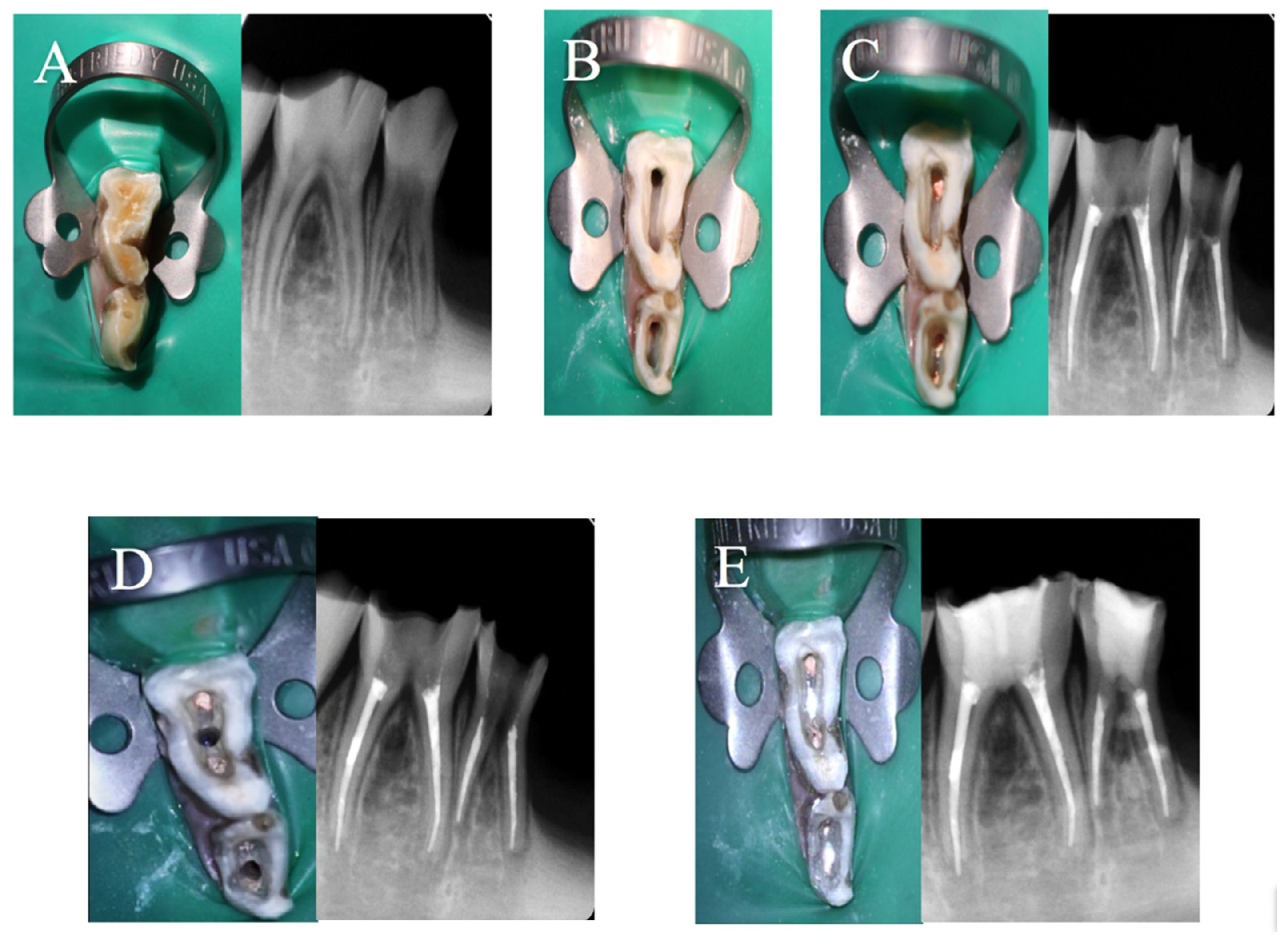 Applsci 11 08992 g002