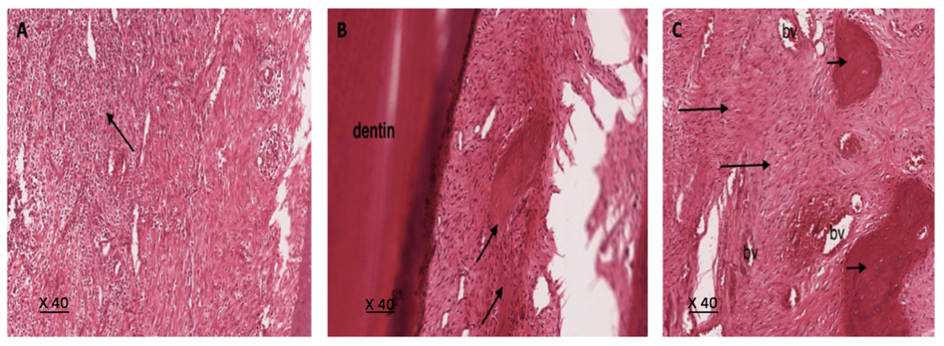 Applsci 11 08992 g003