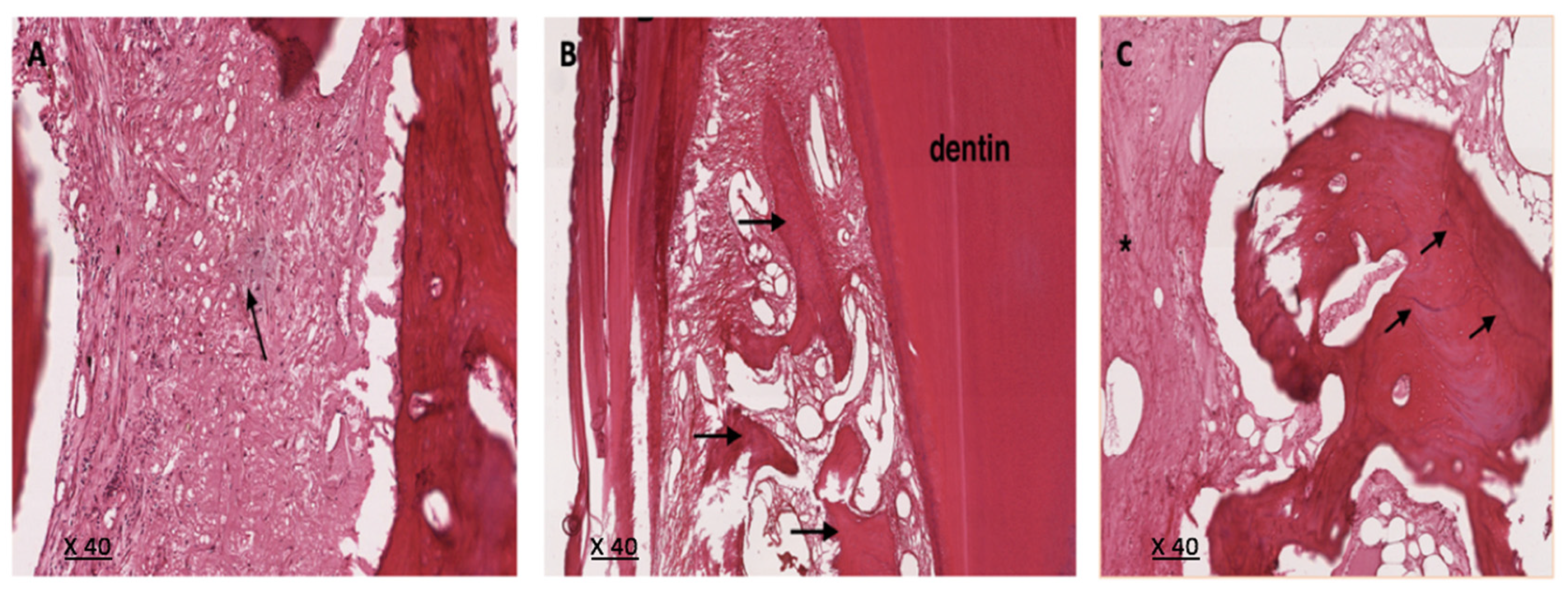 Applsci 11 08992 g004