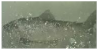 Applsci 11 09039 i020