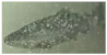 Applsci 11 09039 i026