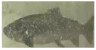 Applsci 11 09039 i028