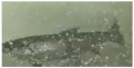 Applsci 11 09039 i037