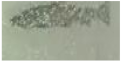 Applsci 11 09039 i041