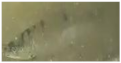 Applsci 11 09039 i045