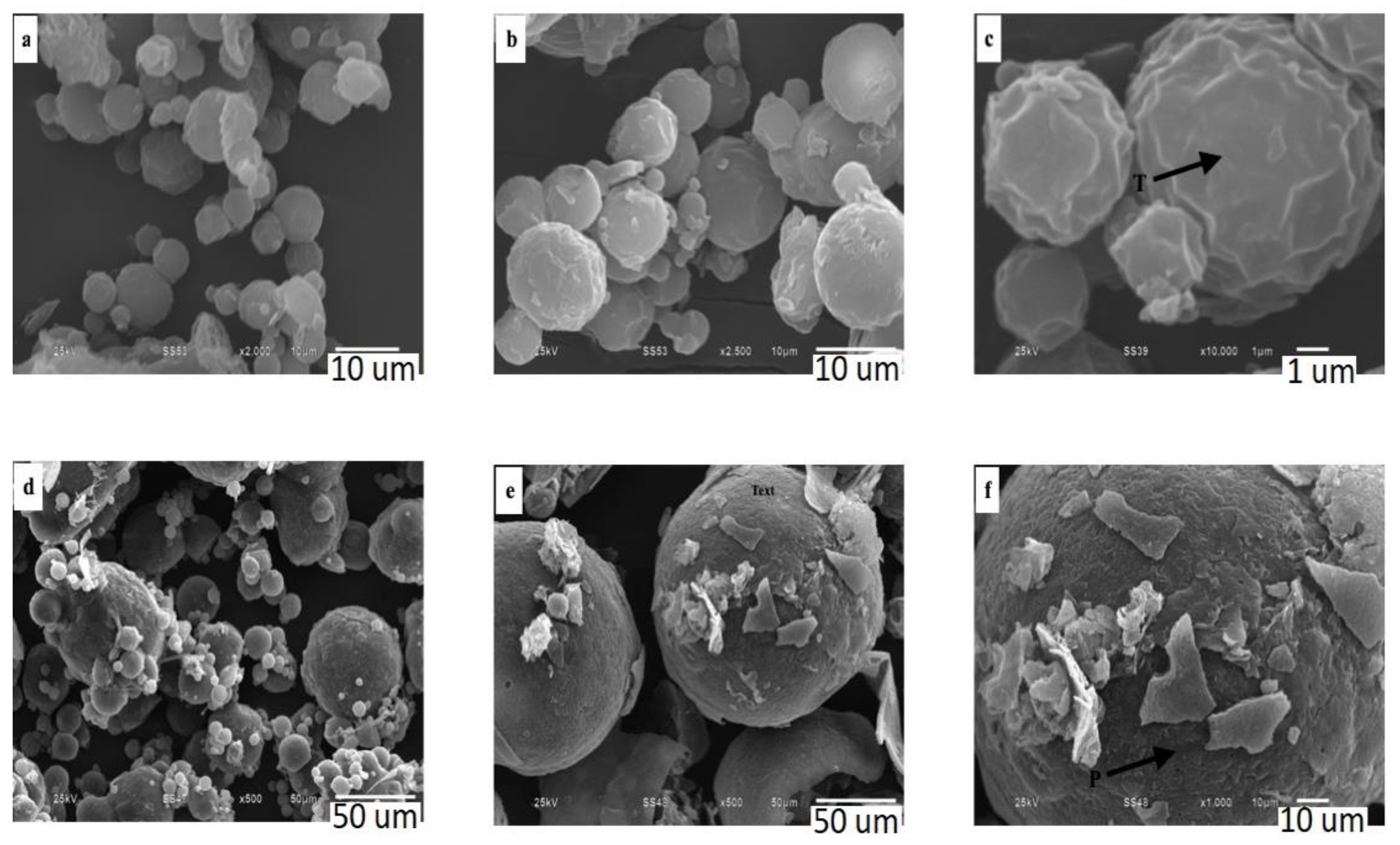 Applsci 11 09066 g003