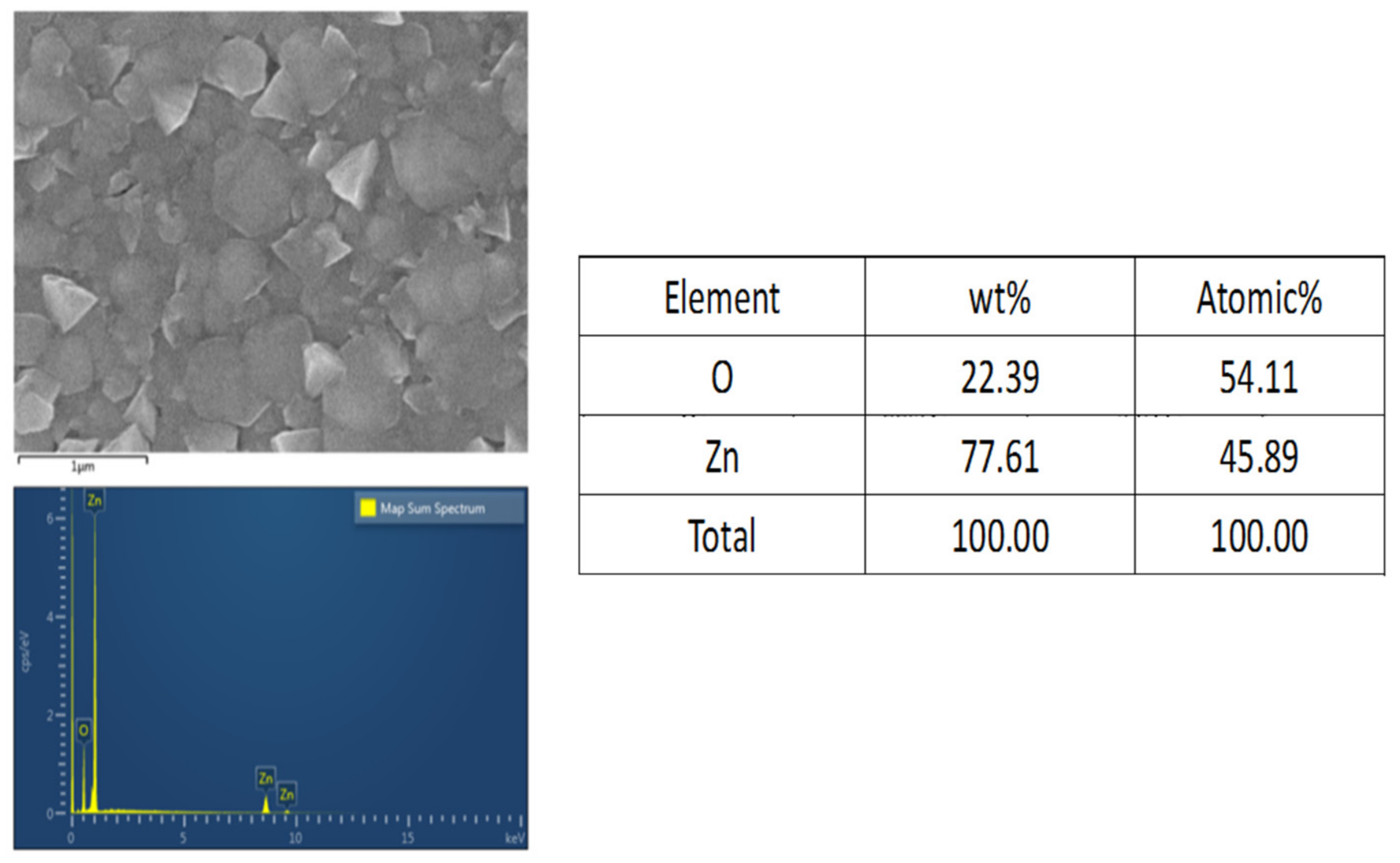 Applsci 11 09074 g009