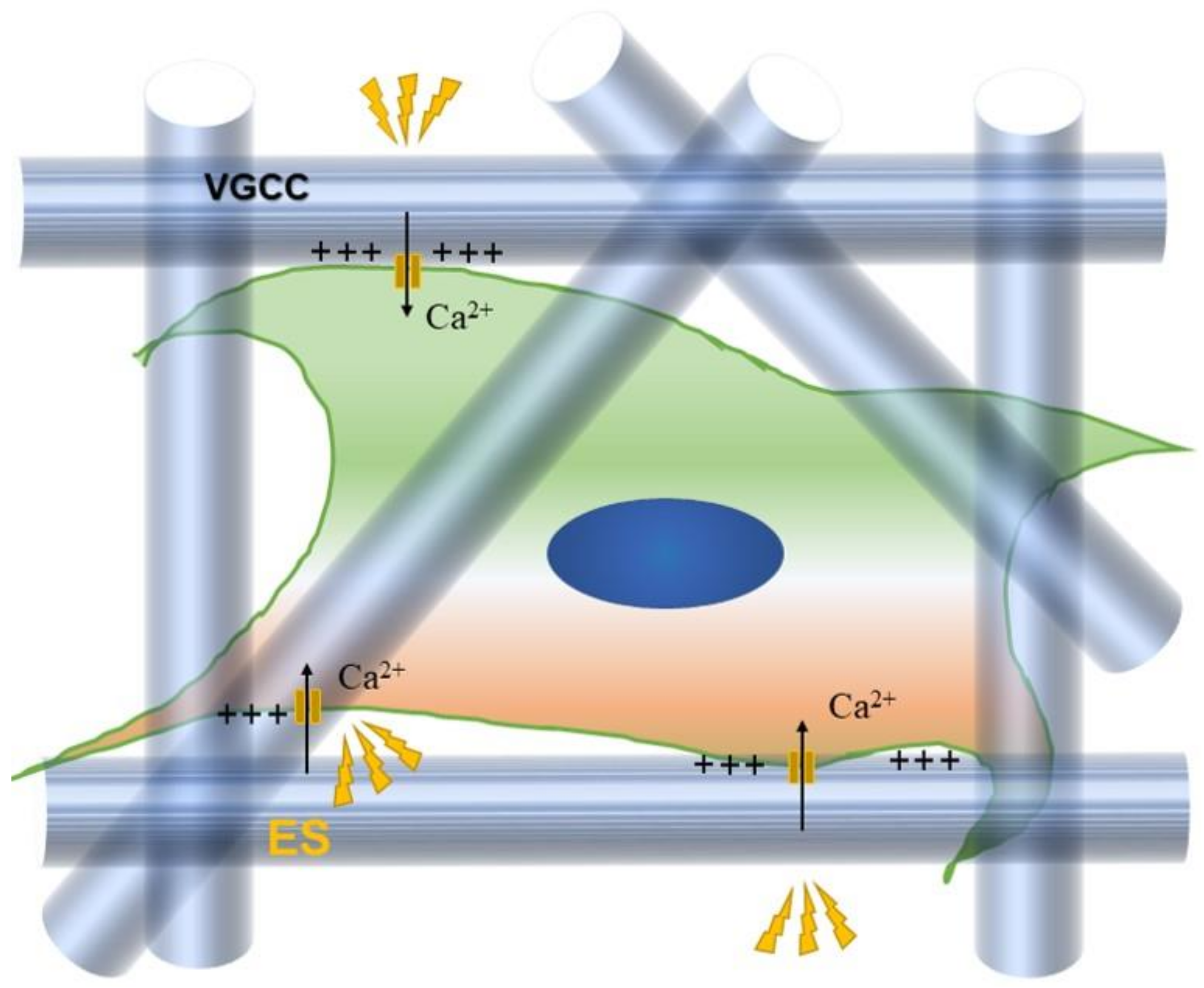 Applsci 11 09082 g001