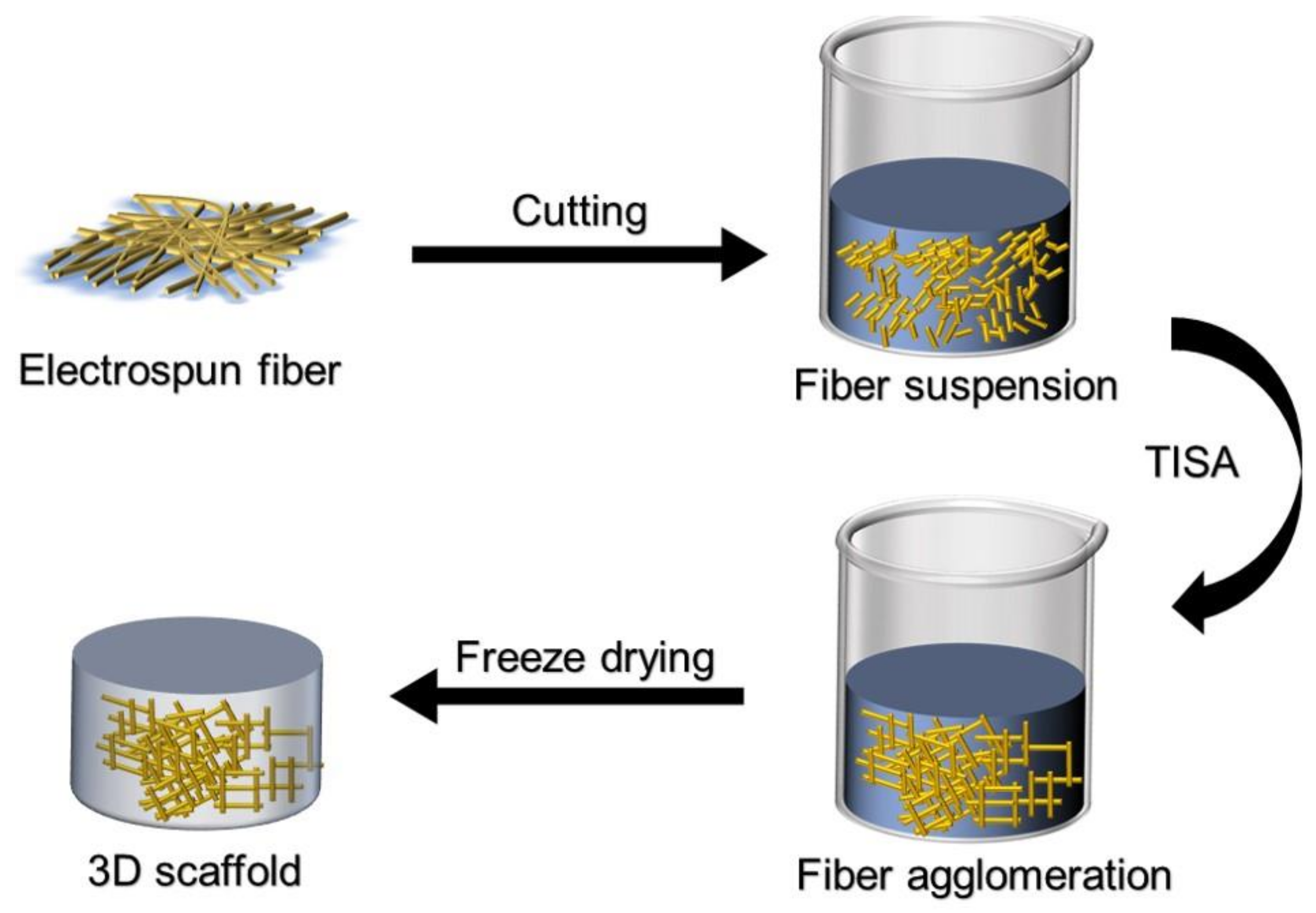 Applsci 11 09082 g006