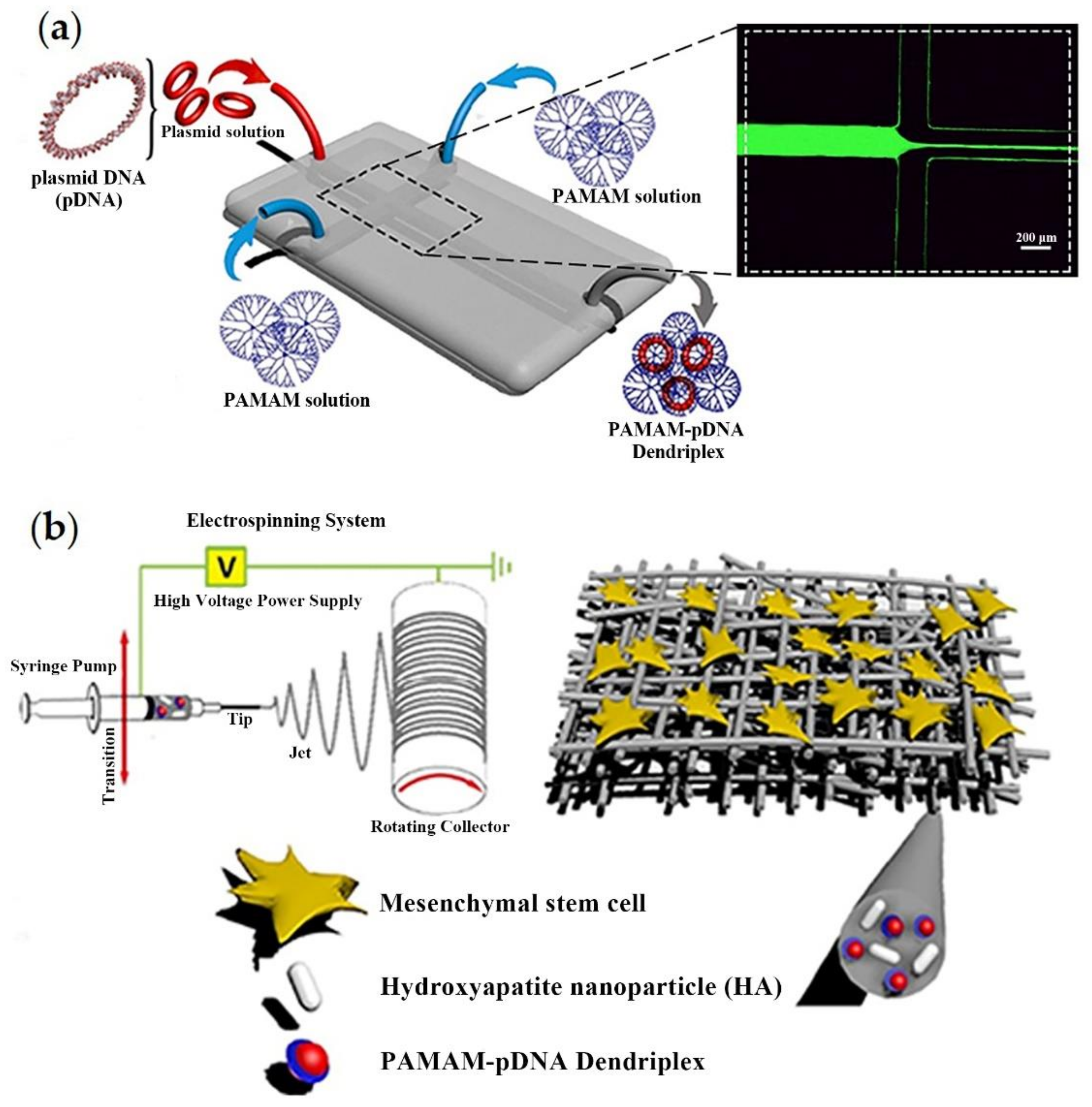 Applsci 11 09082 g011
