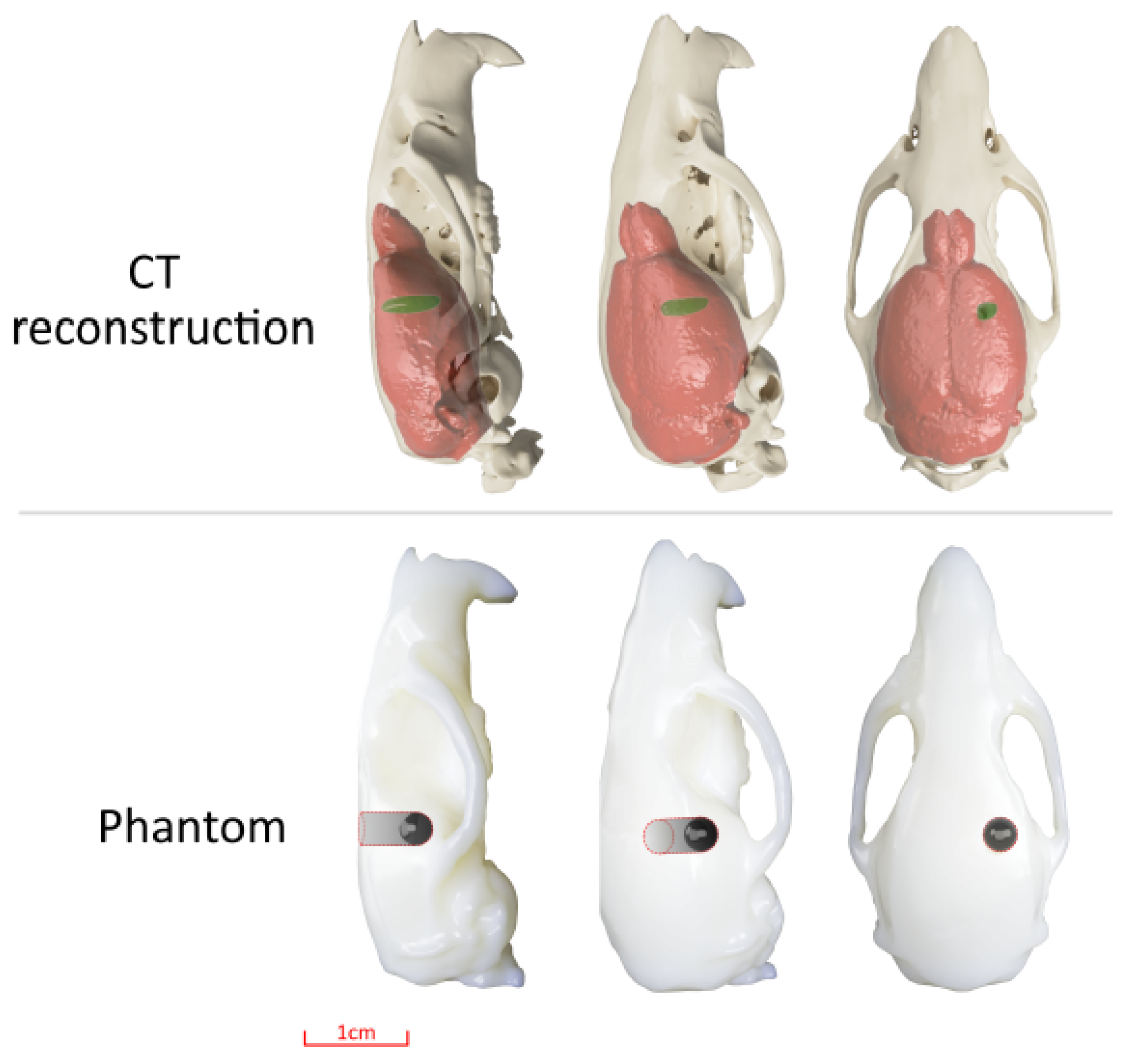 Applsci 11 09101 g006