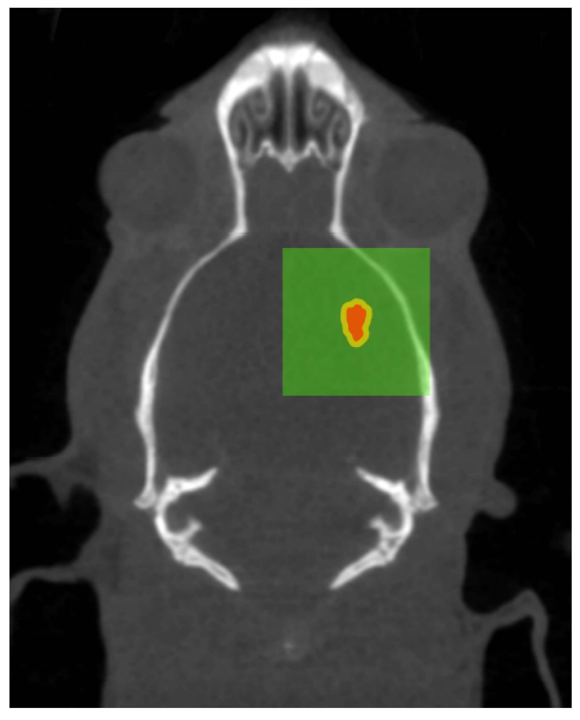 Applsci 11 09101 g009