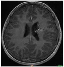 Applsci 11 09180 i003