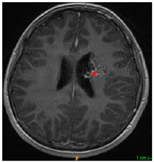 Applsci 11 09180 i004