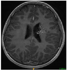 Applsci 11 09180 i005