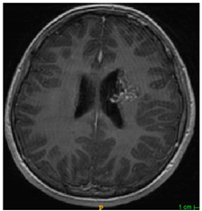 Applsci 11 09180 i006