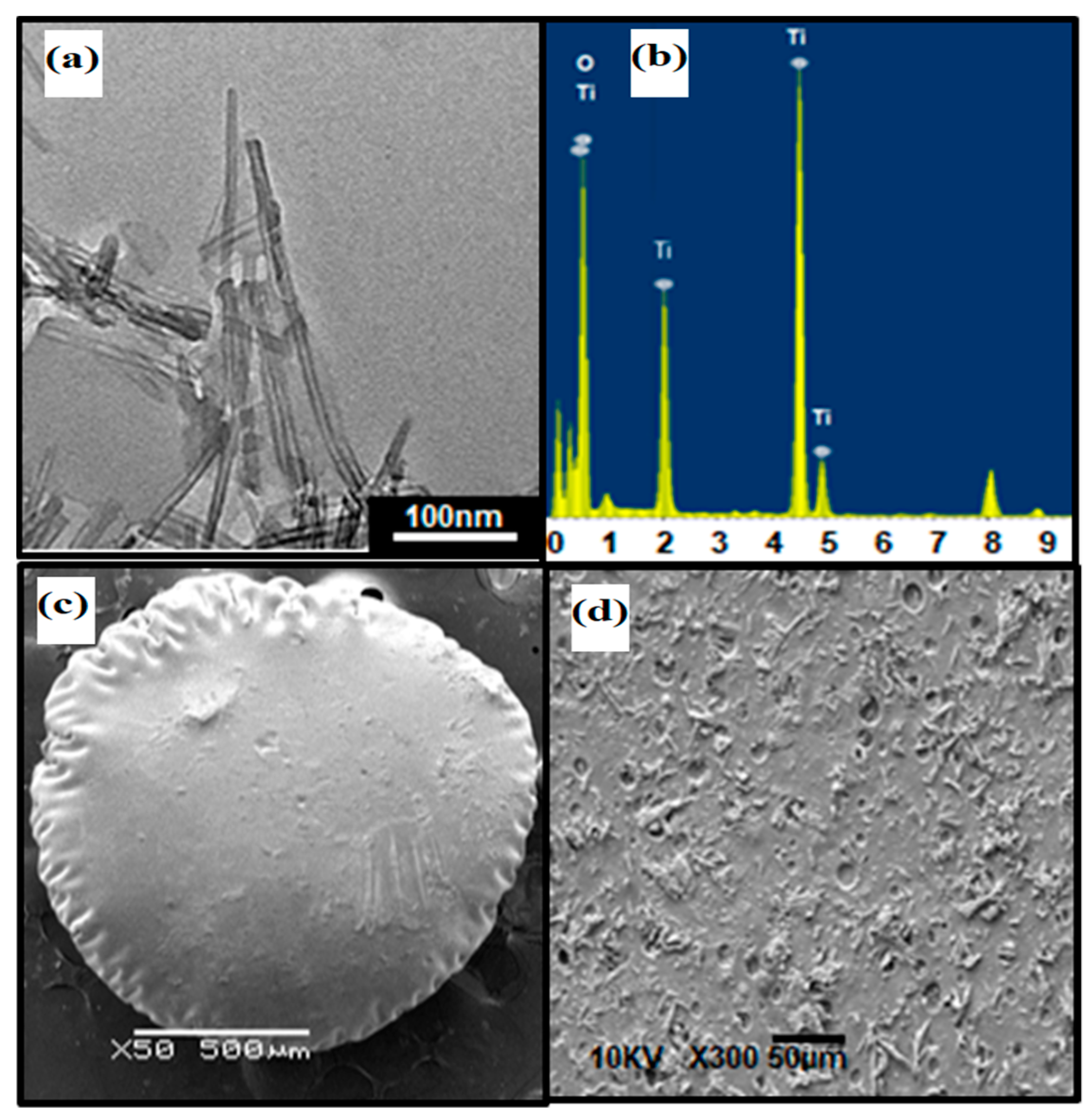 Applsci 11 09186 g002