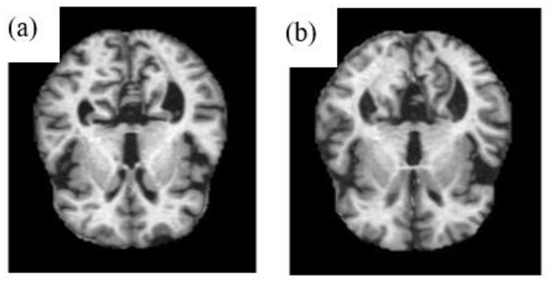 Applsci 11 09199 g001