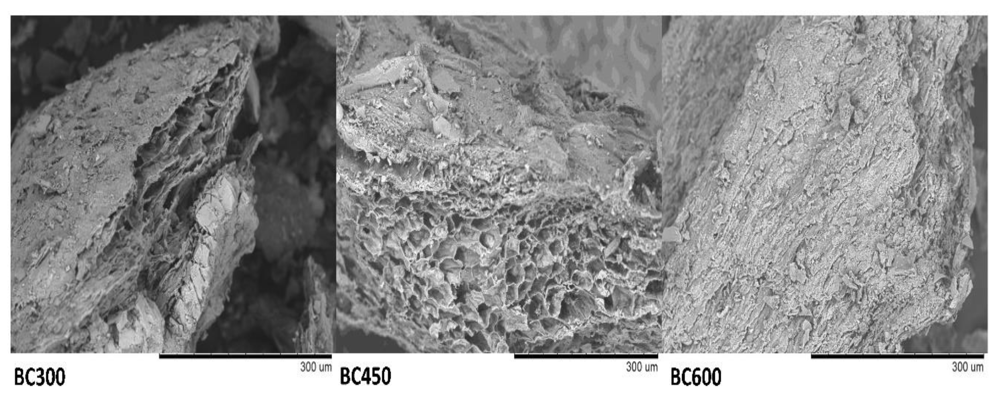 Applsci 11 09223 g001