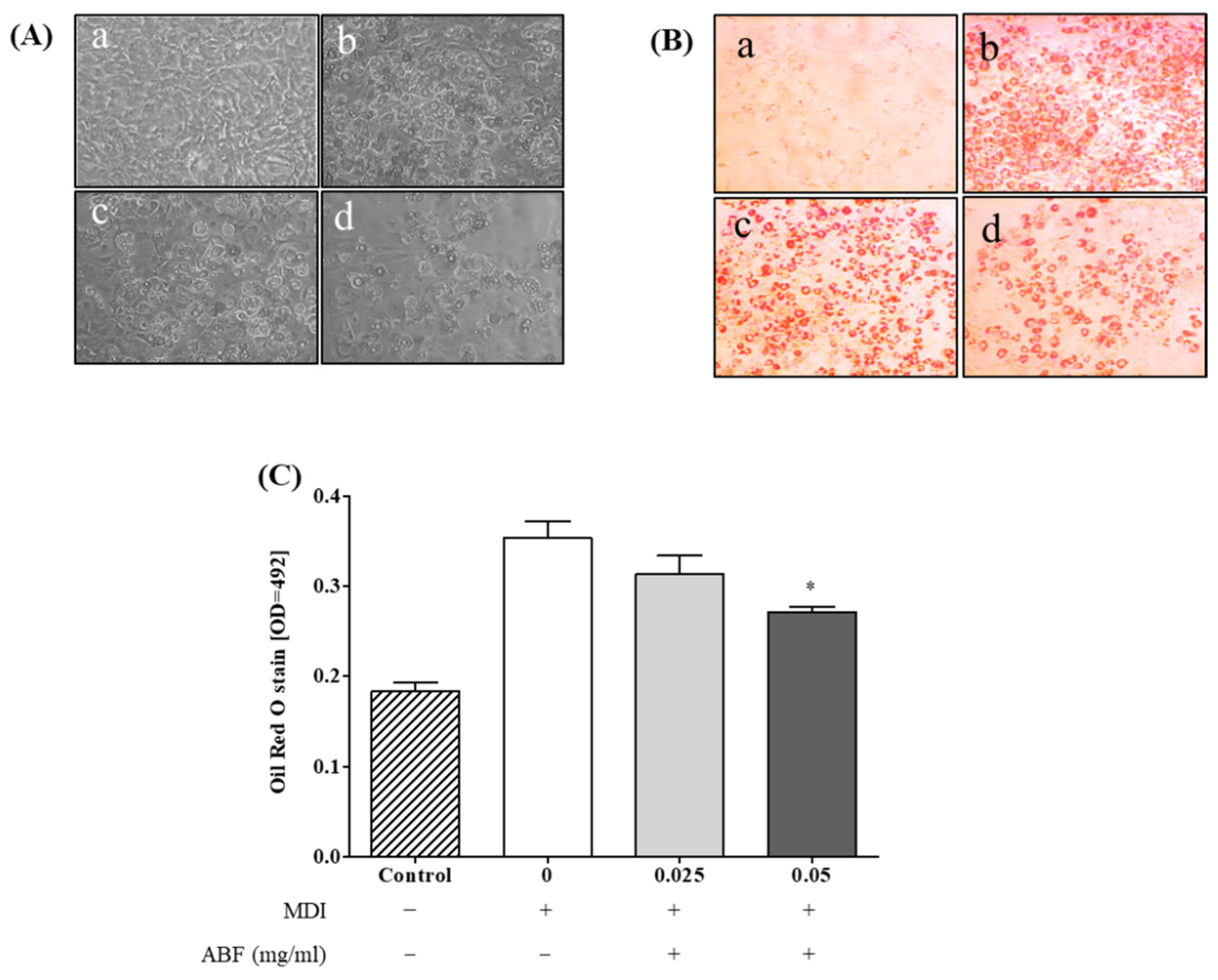 Applsci 11 09224 g005