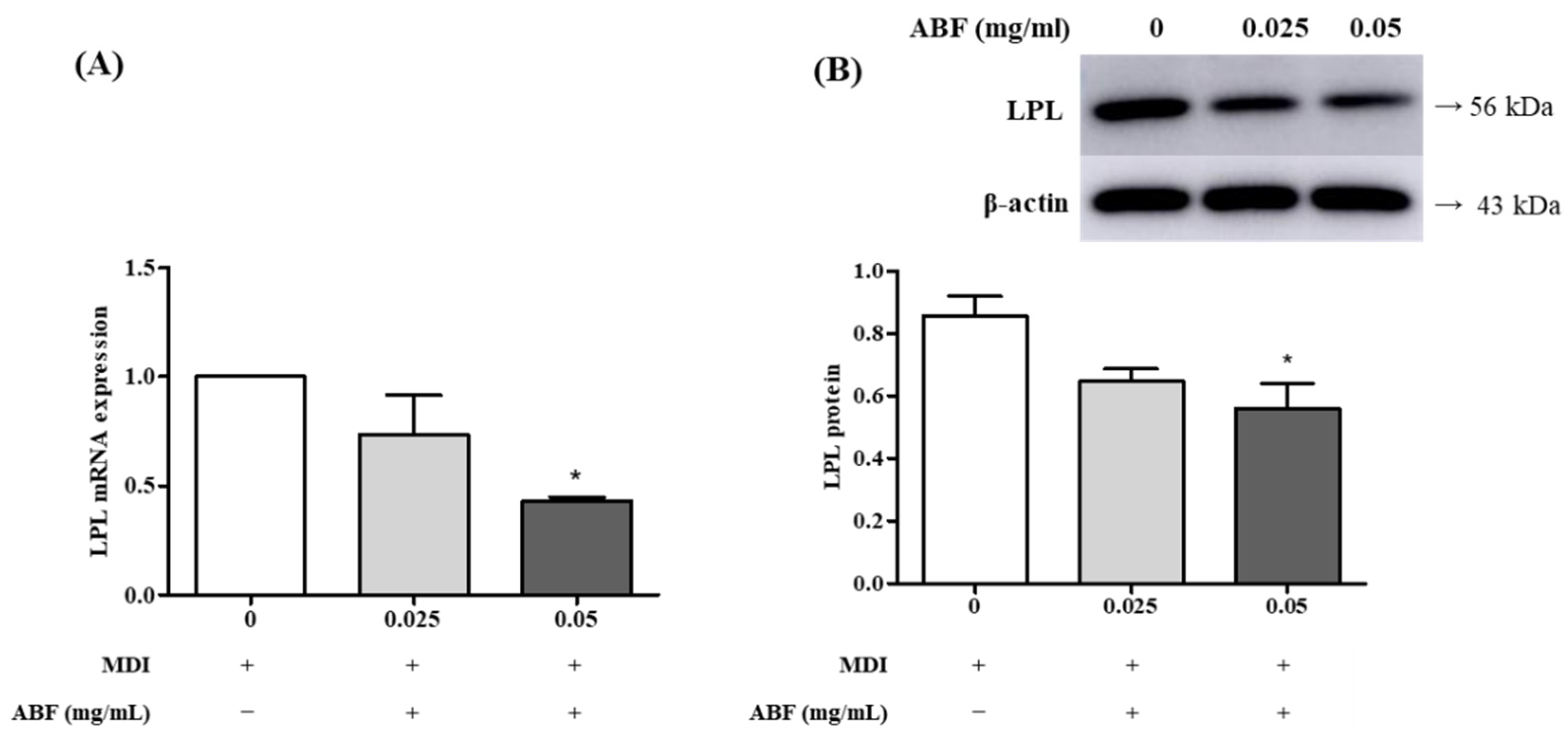Applsci 11 09224 g006
