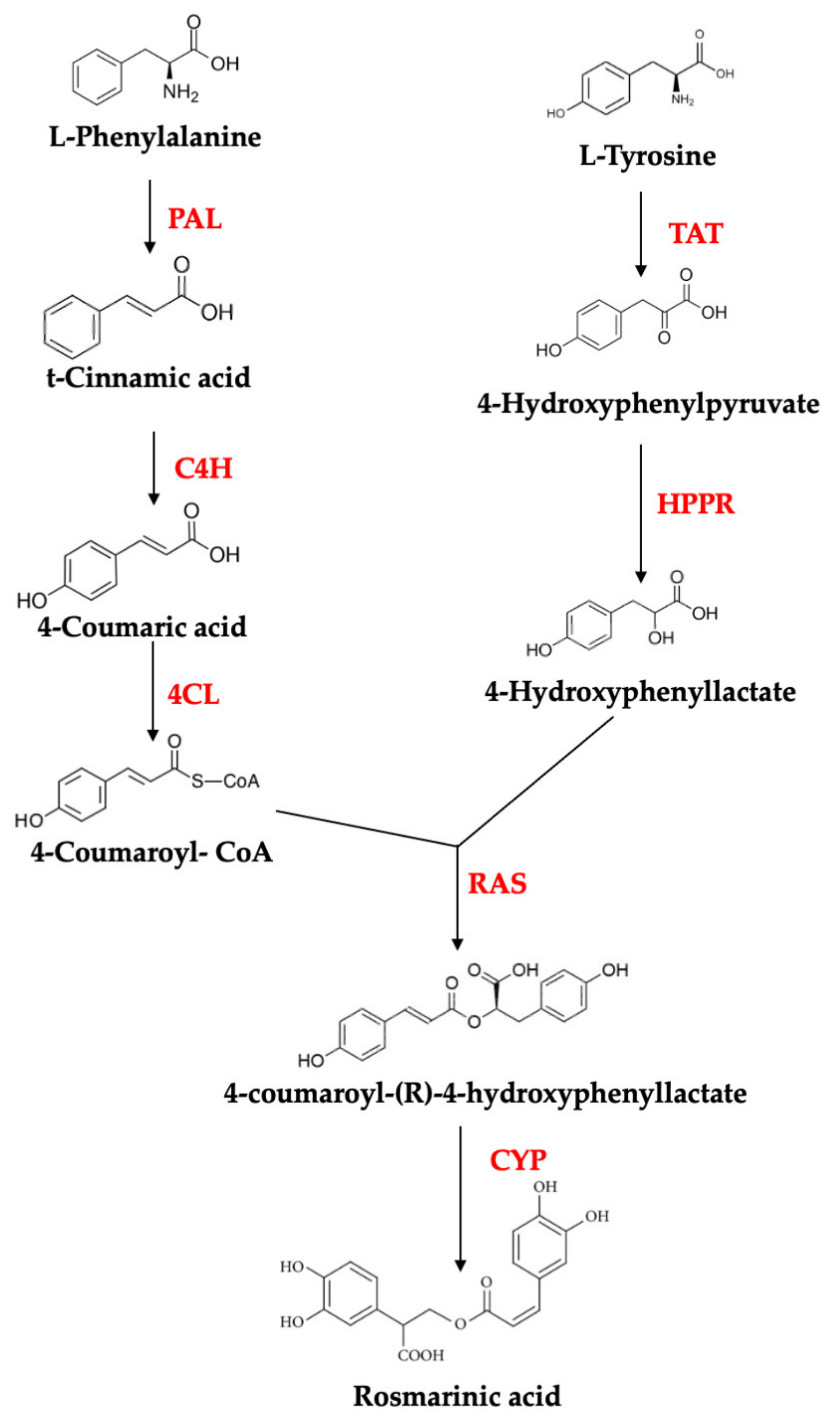 Applsci 11 09249 g003 Applsci 11 09249 g003