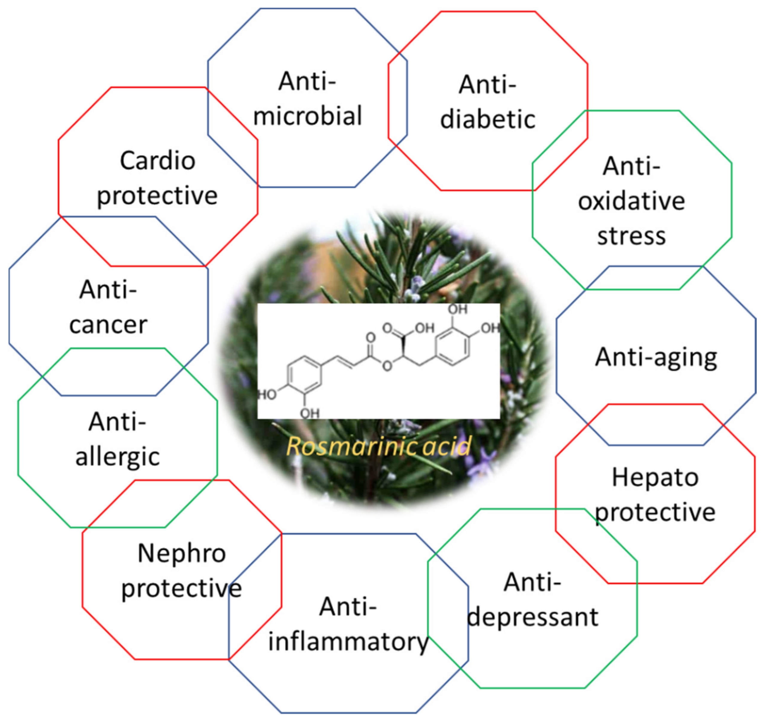 Applsci 11 09249 g011 Applsci 11 09249 g011