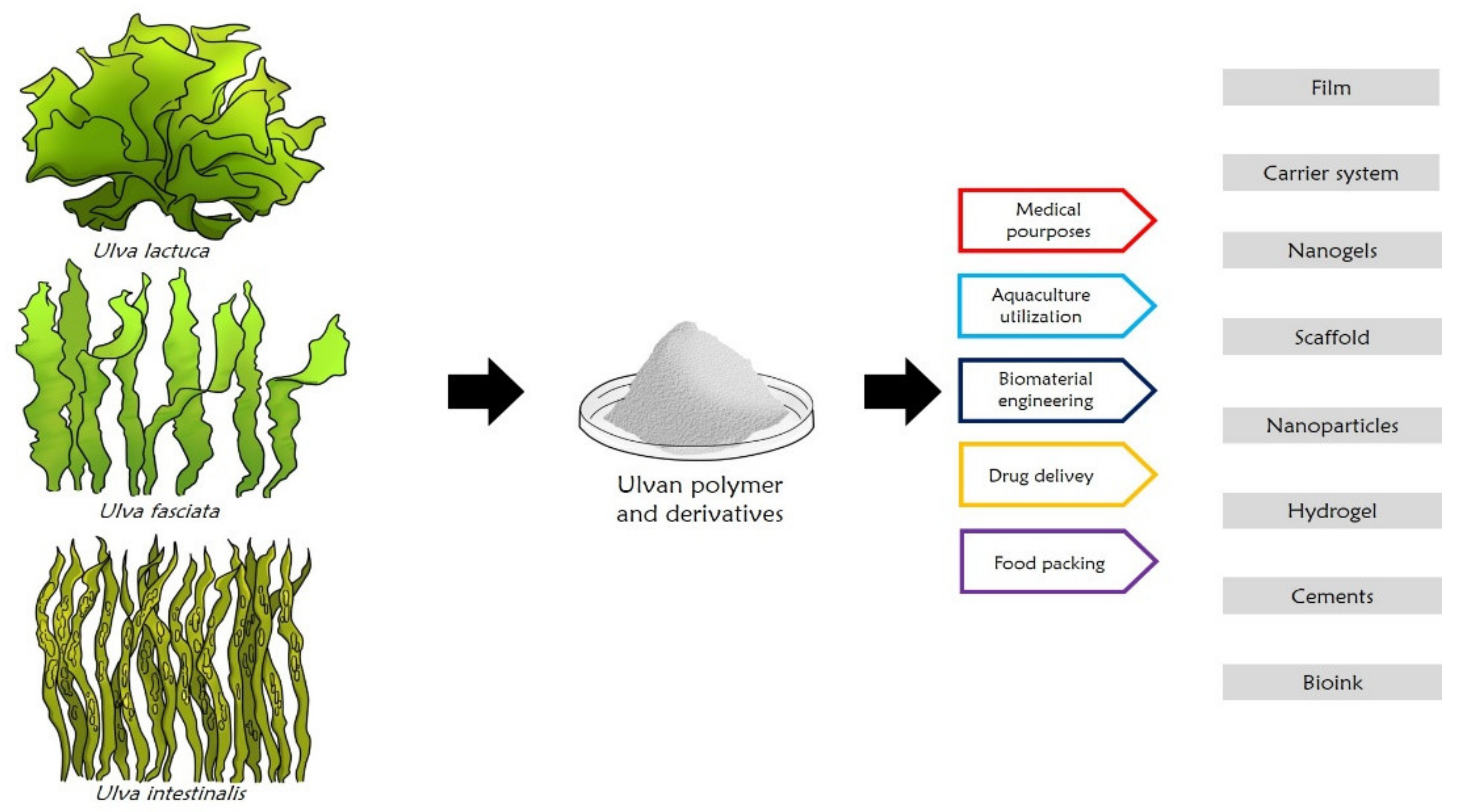 Applsci 11 09249 g012 Applsci 11 09249 g012