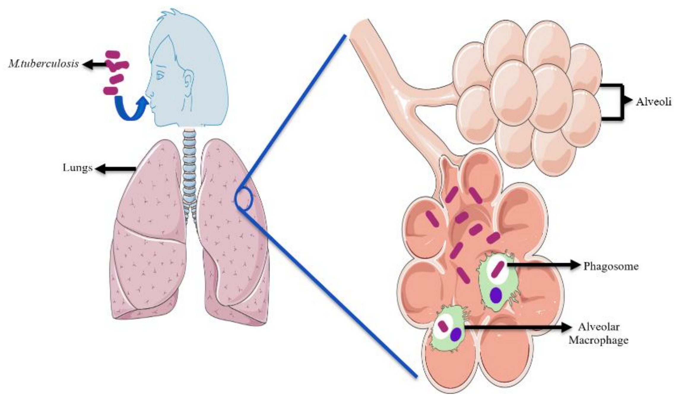 Applsci 11 09250 g001