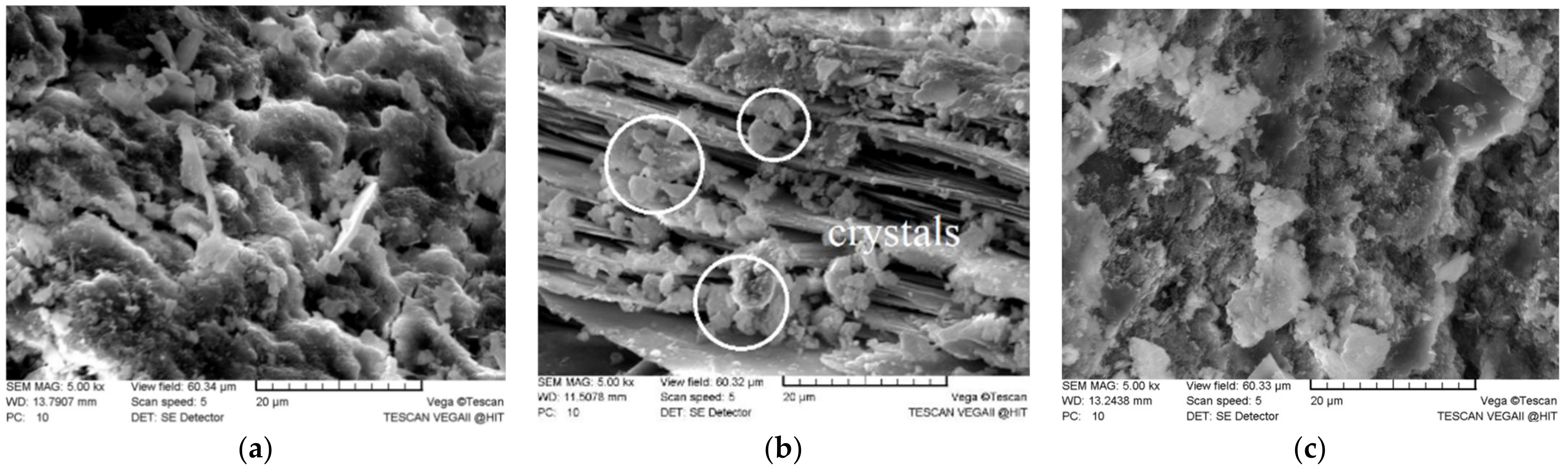 Applsci 11 09265 g005