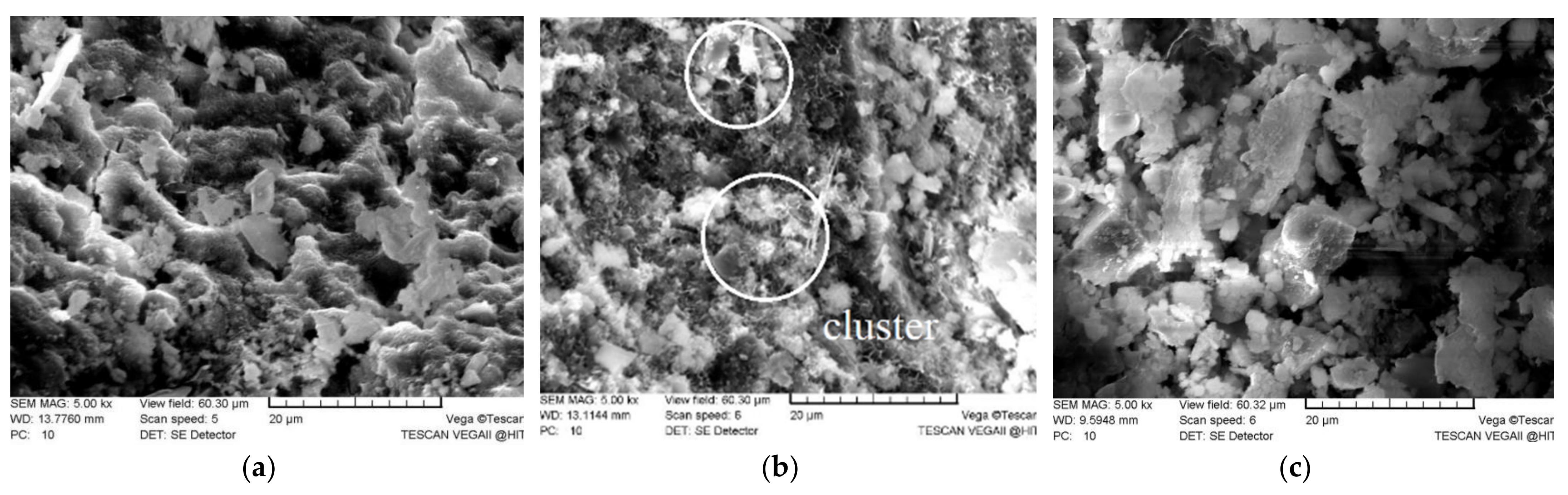 Applsci 11 09265 g006