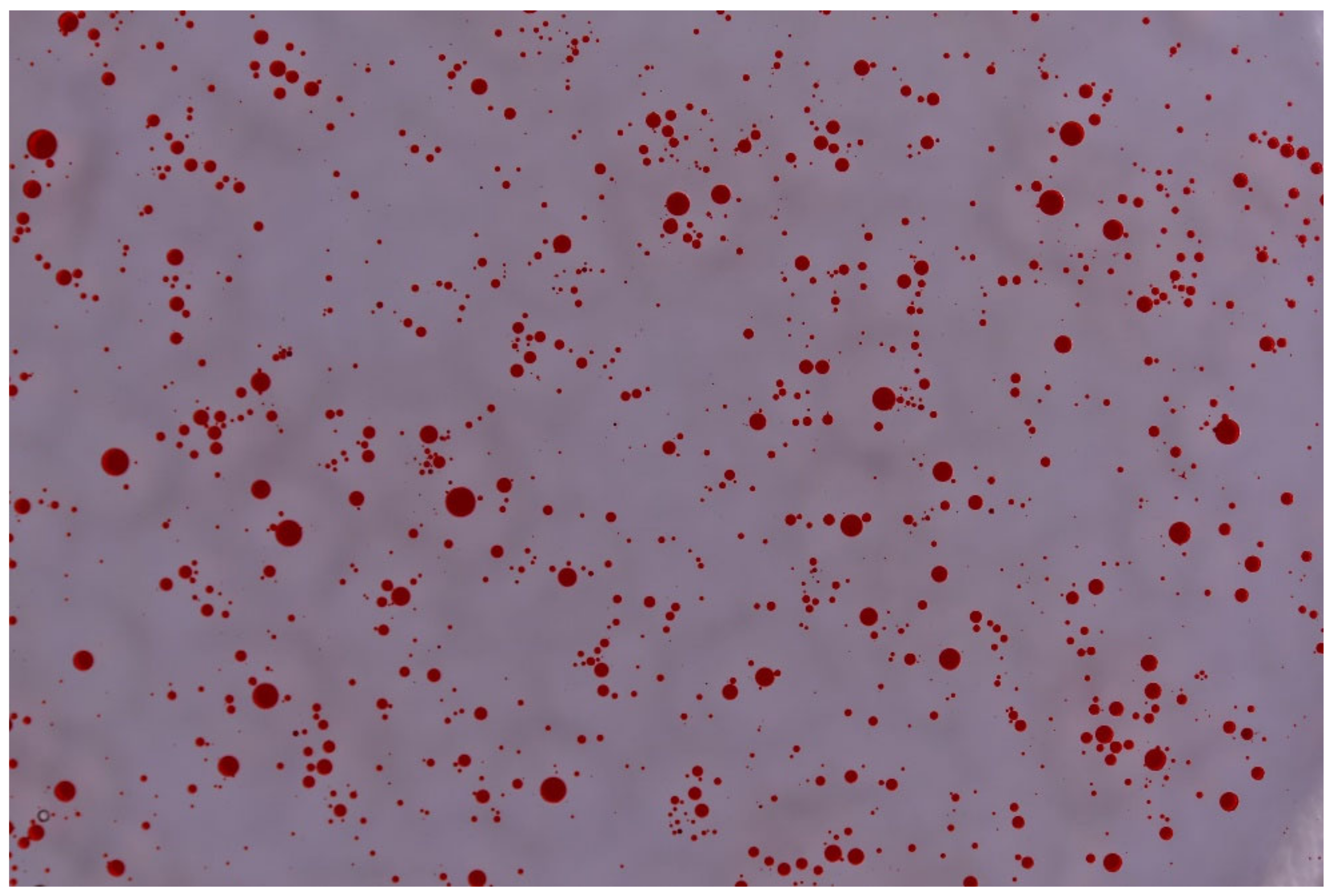 Applsci 11 09283 g002