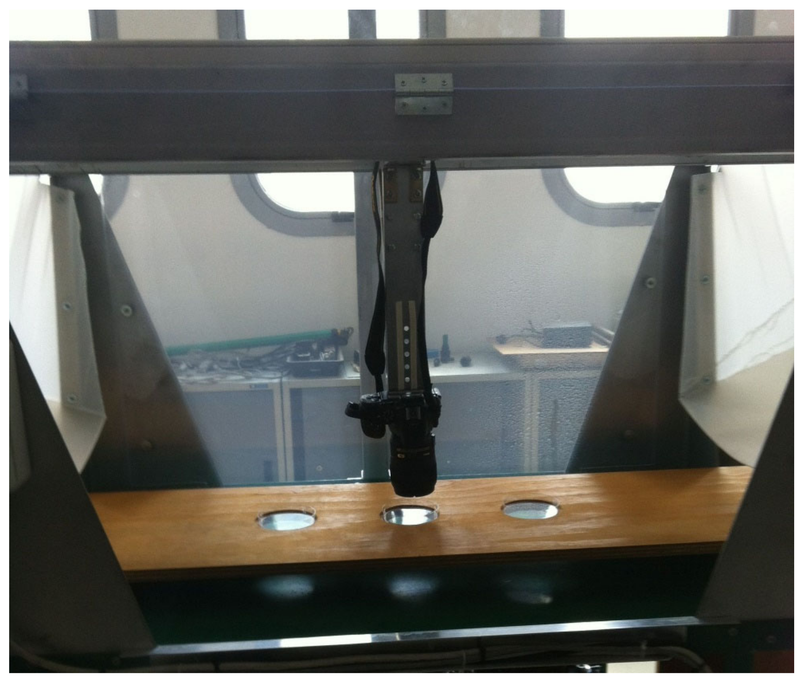 Applsci 11 09283 g003