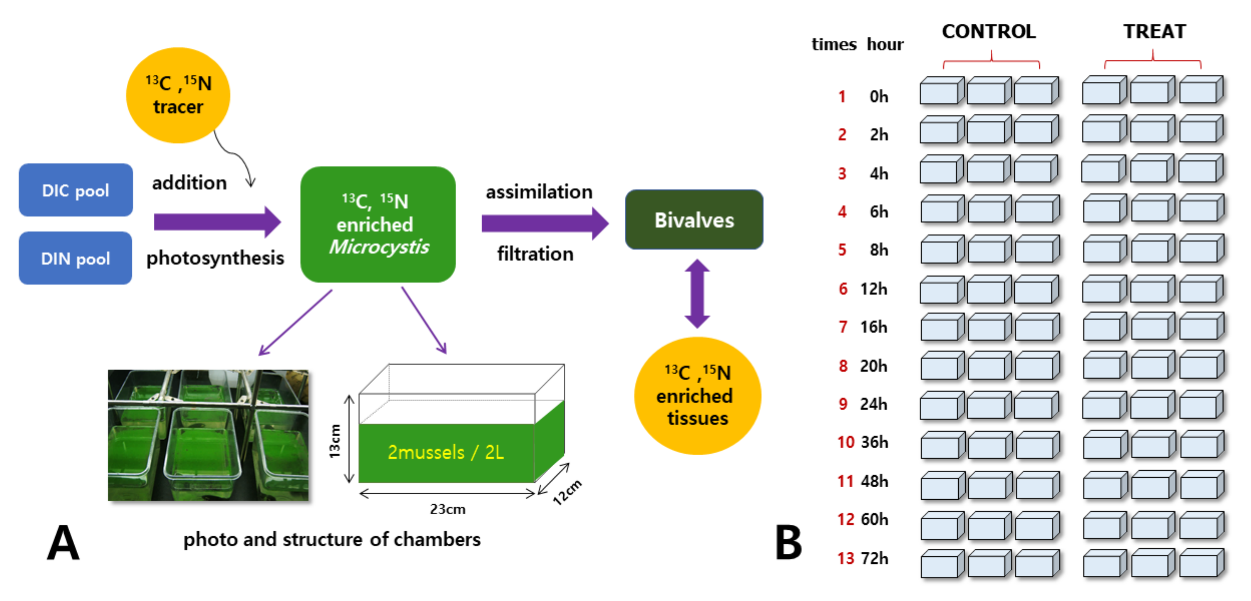 Applsci 11 09294 g001