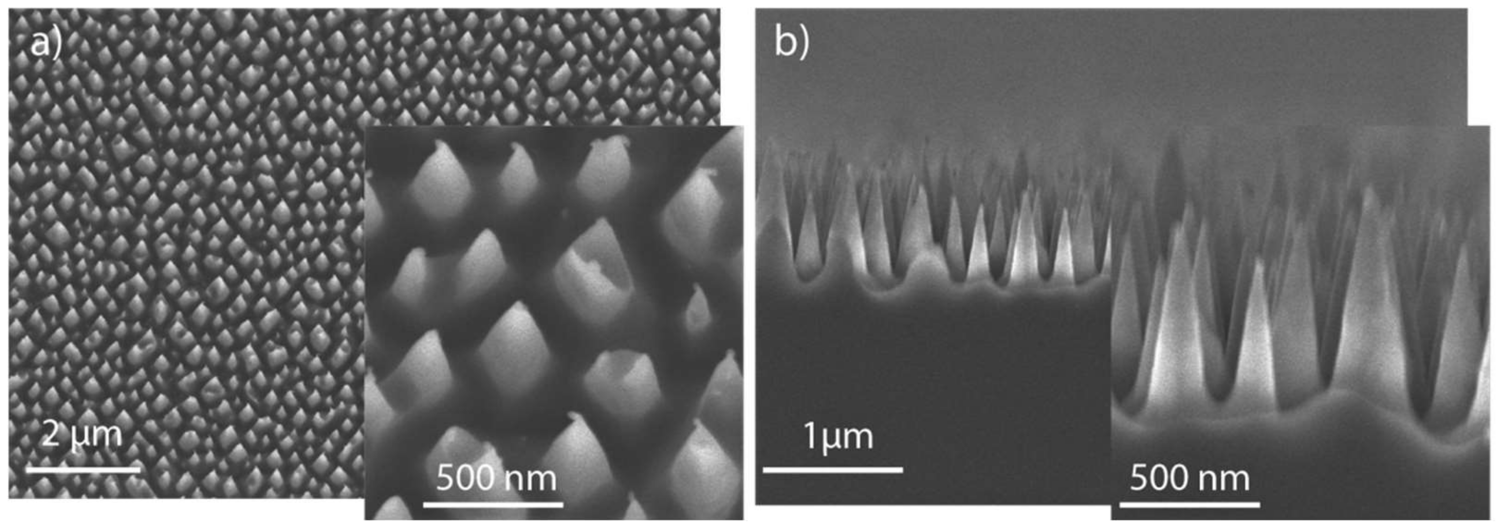 Applsci 11 09304 g001