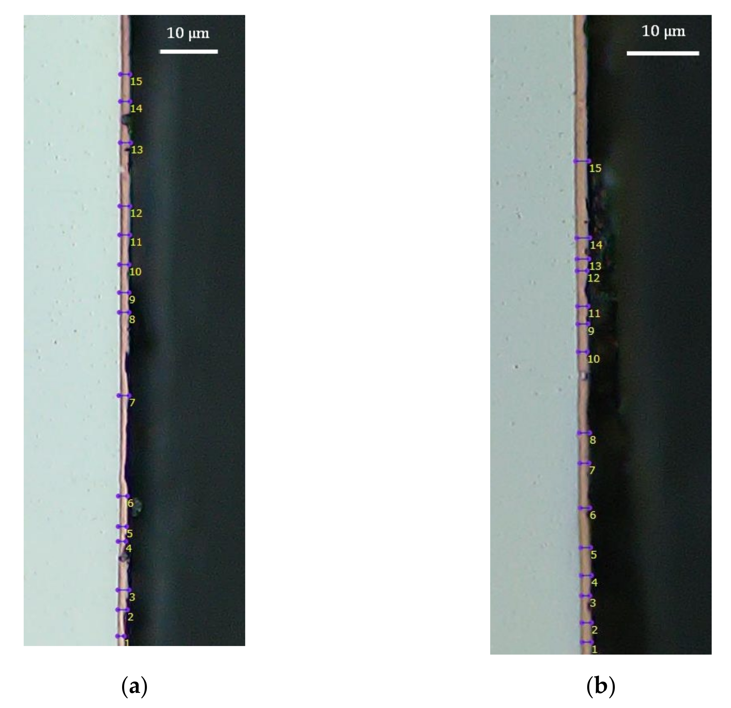 Applsci 11 09309 g007