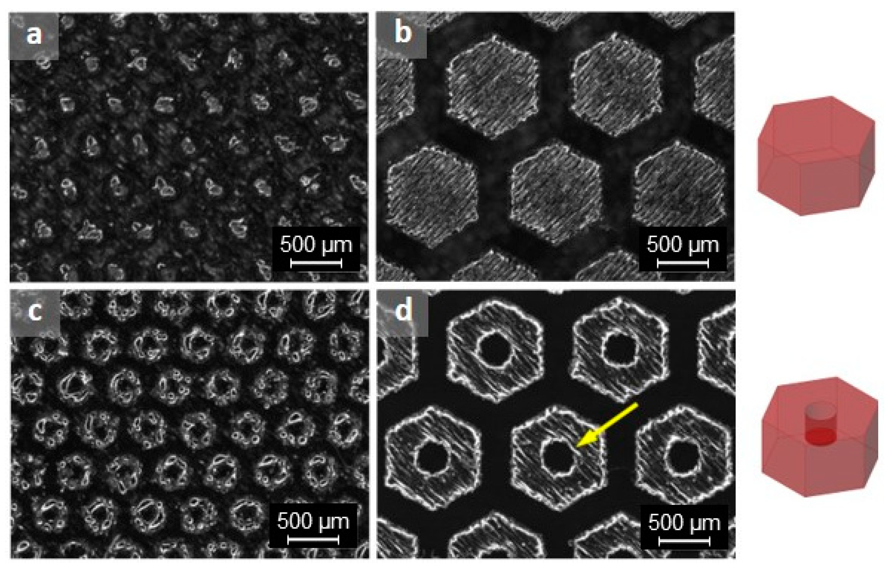 Applsci 11 09317 g002