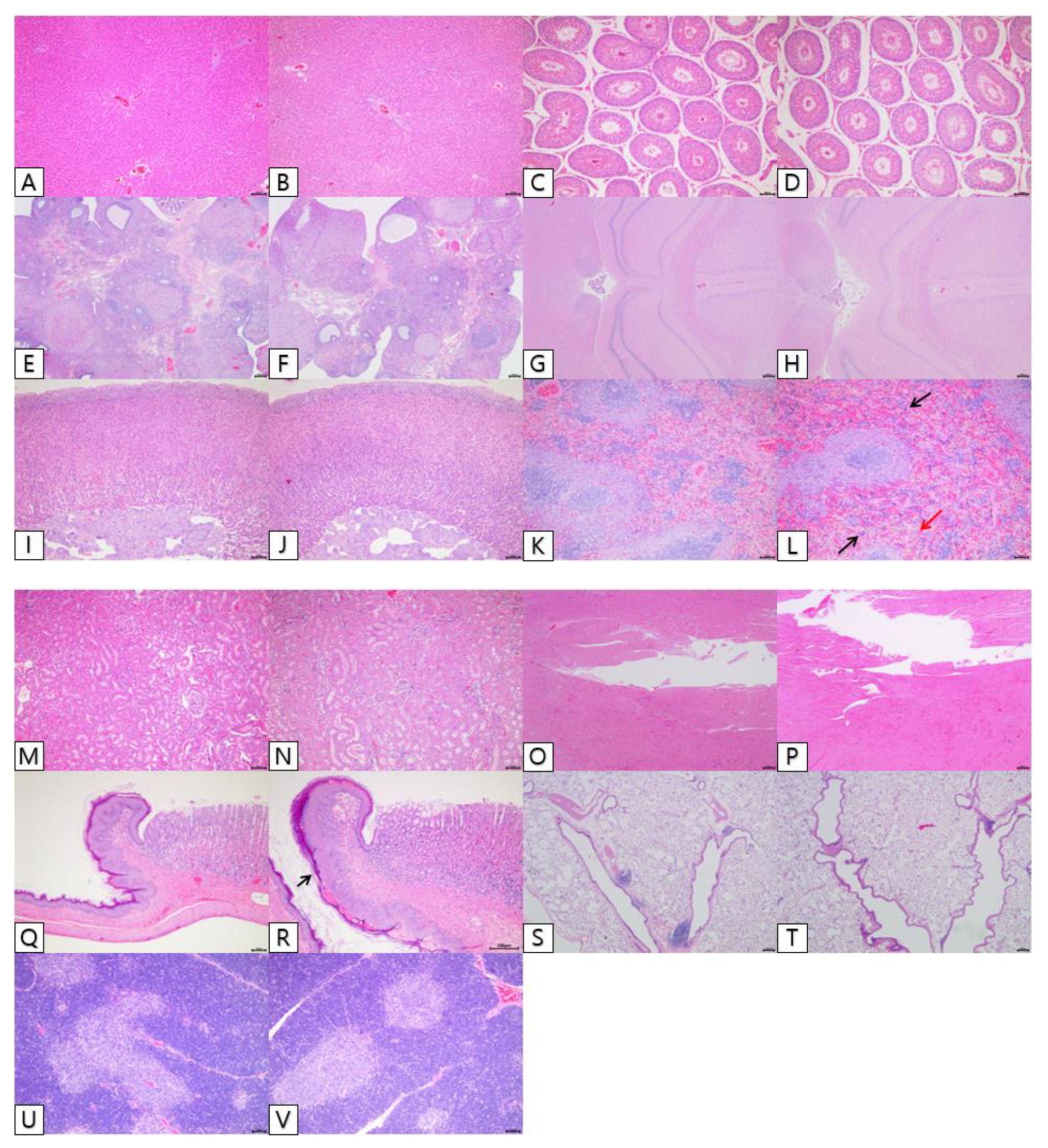 Applsci 11 09325 g004