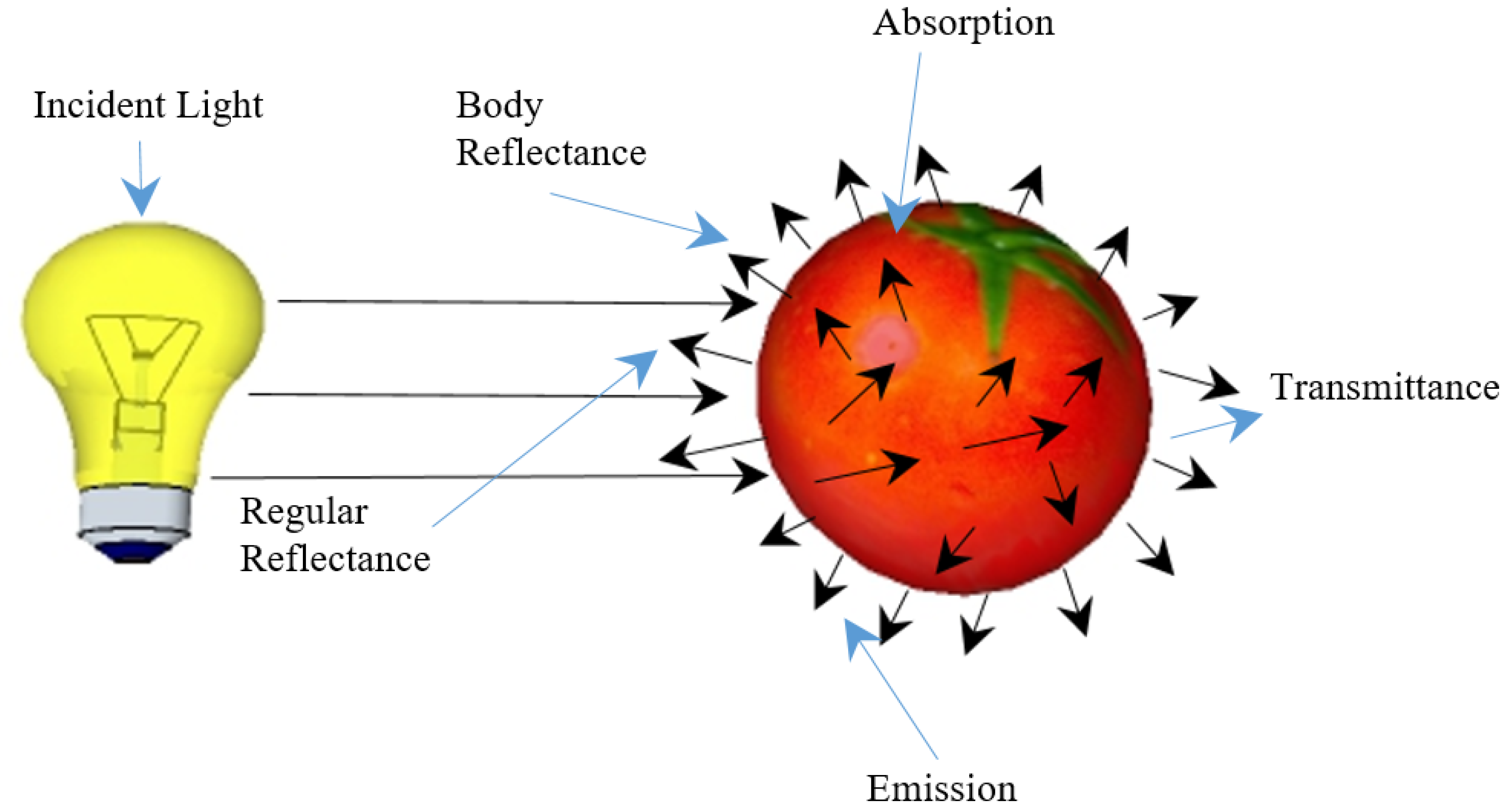 Applsci 11 09332 g001