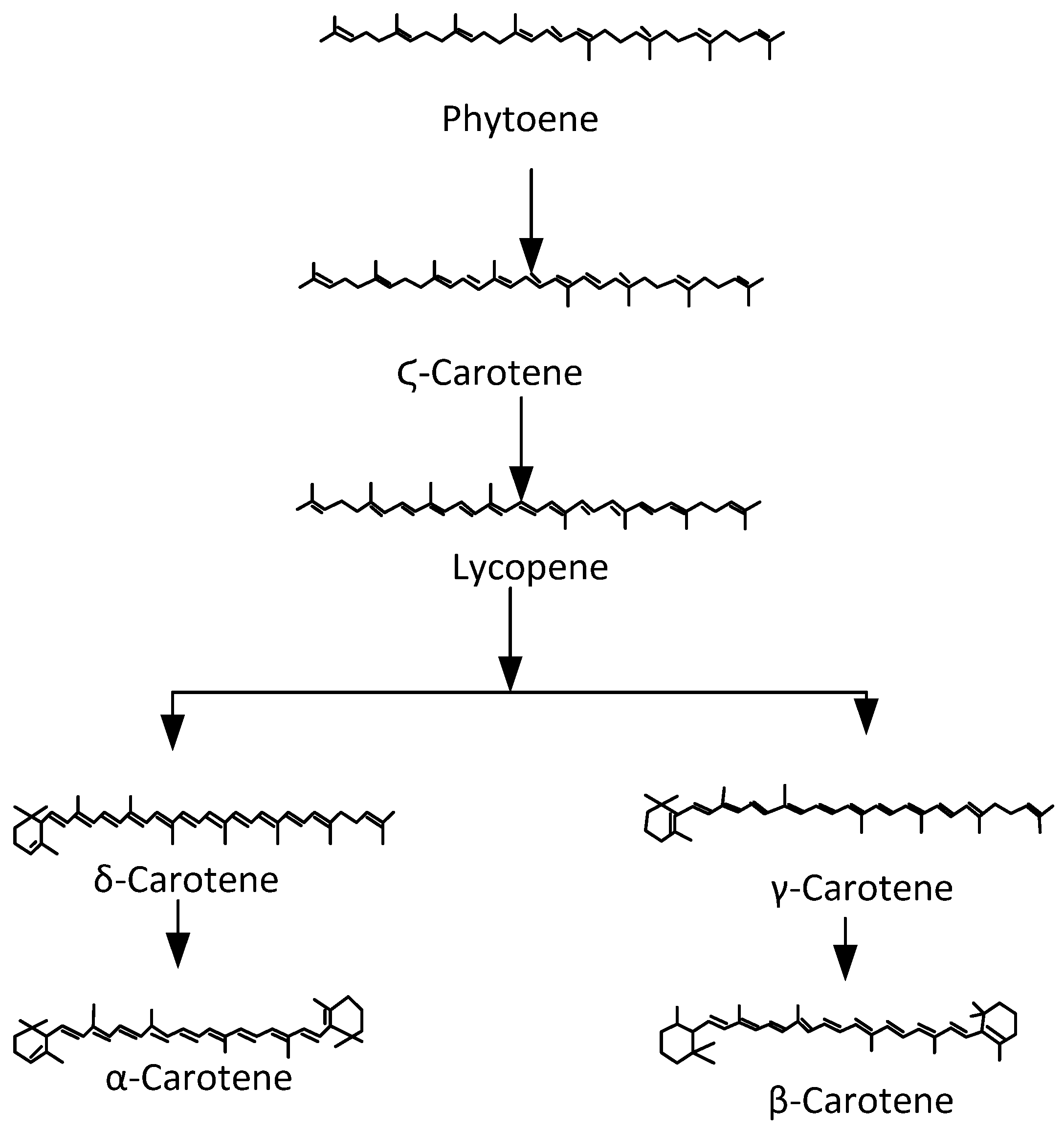 Applsci 11 09332 g004