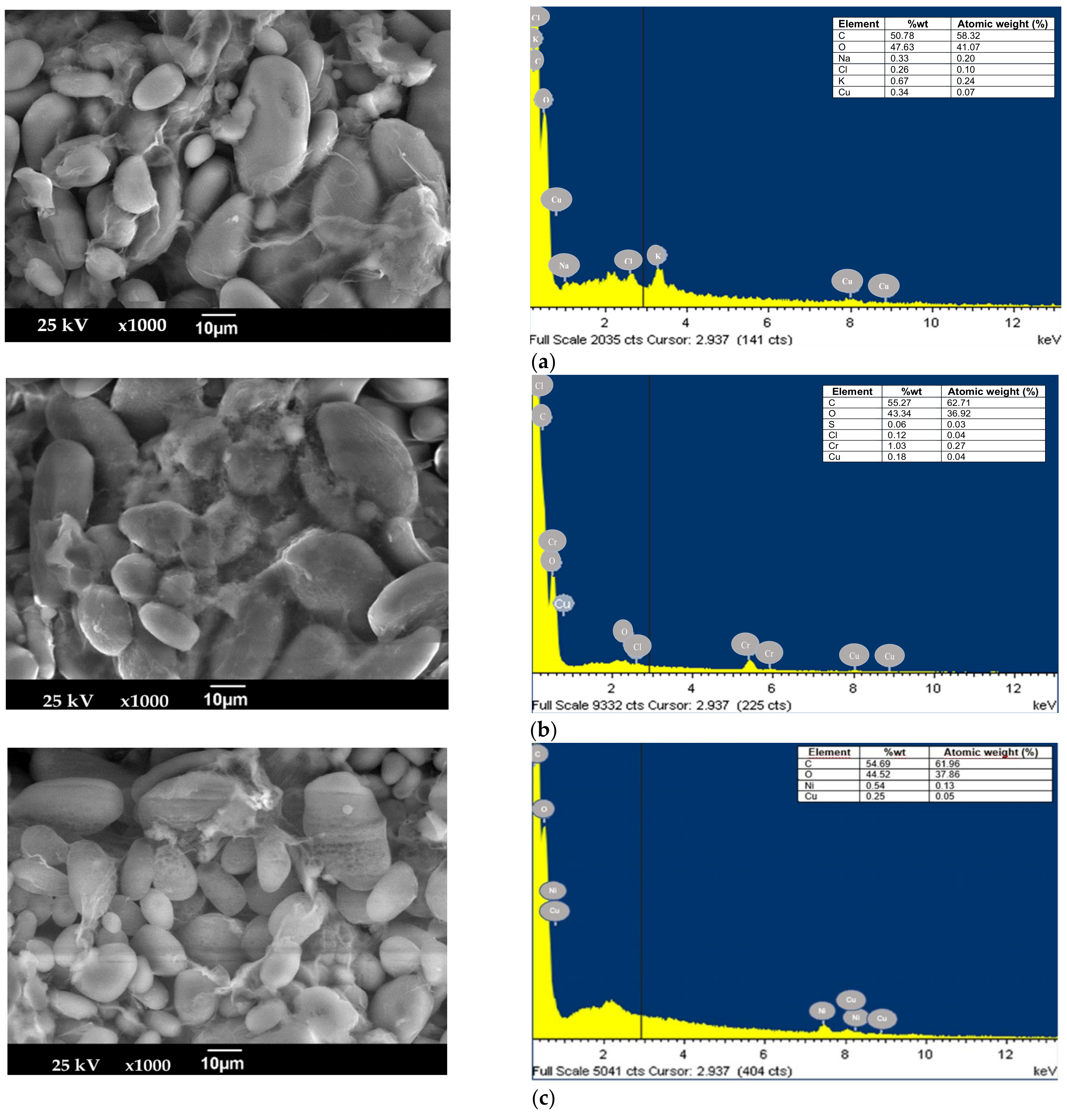 Applsci 11 09355 g003 Applsci 11 09355 g003