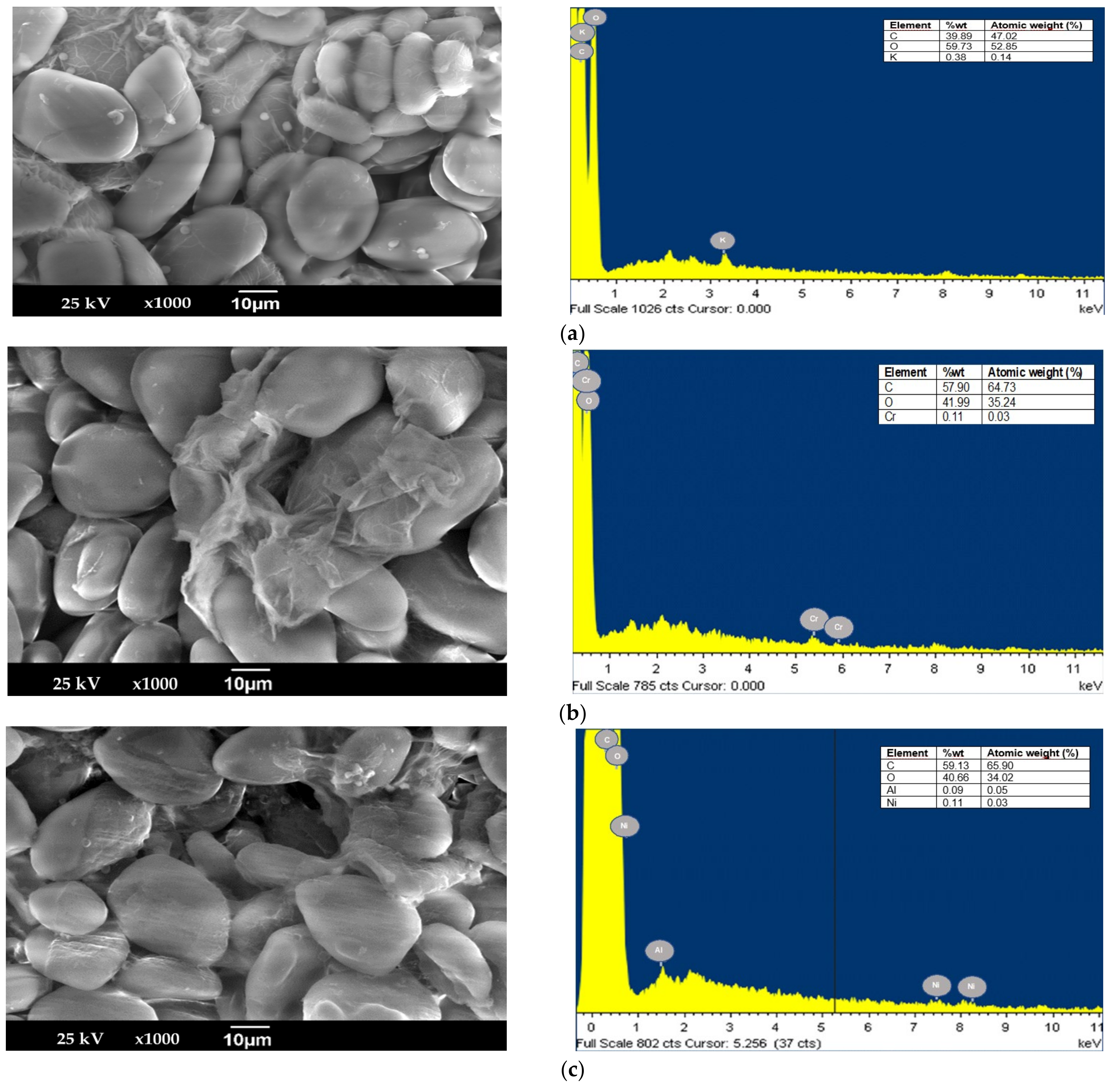 Applsci 11 09355 g004 Applsci 11 09355 g004