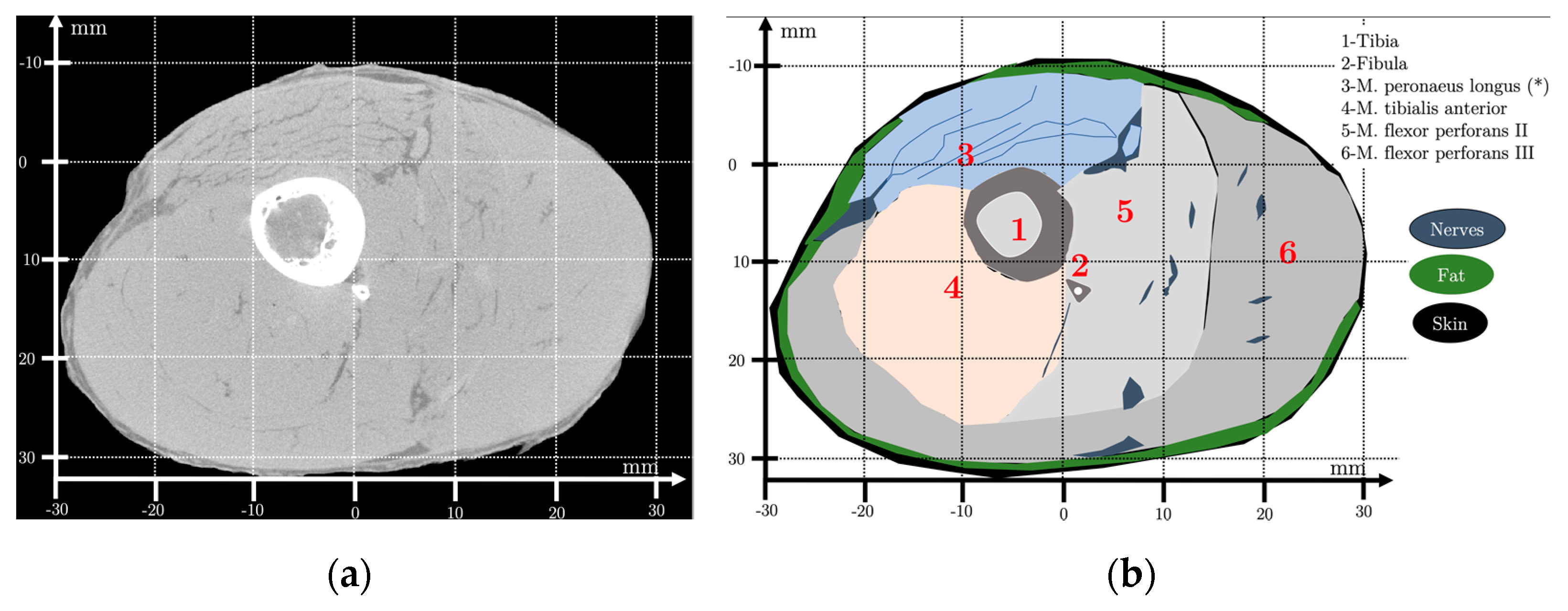 Applsci 11 09368 g003