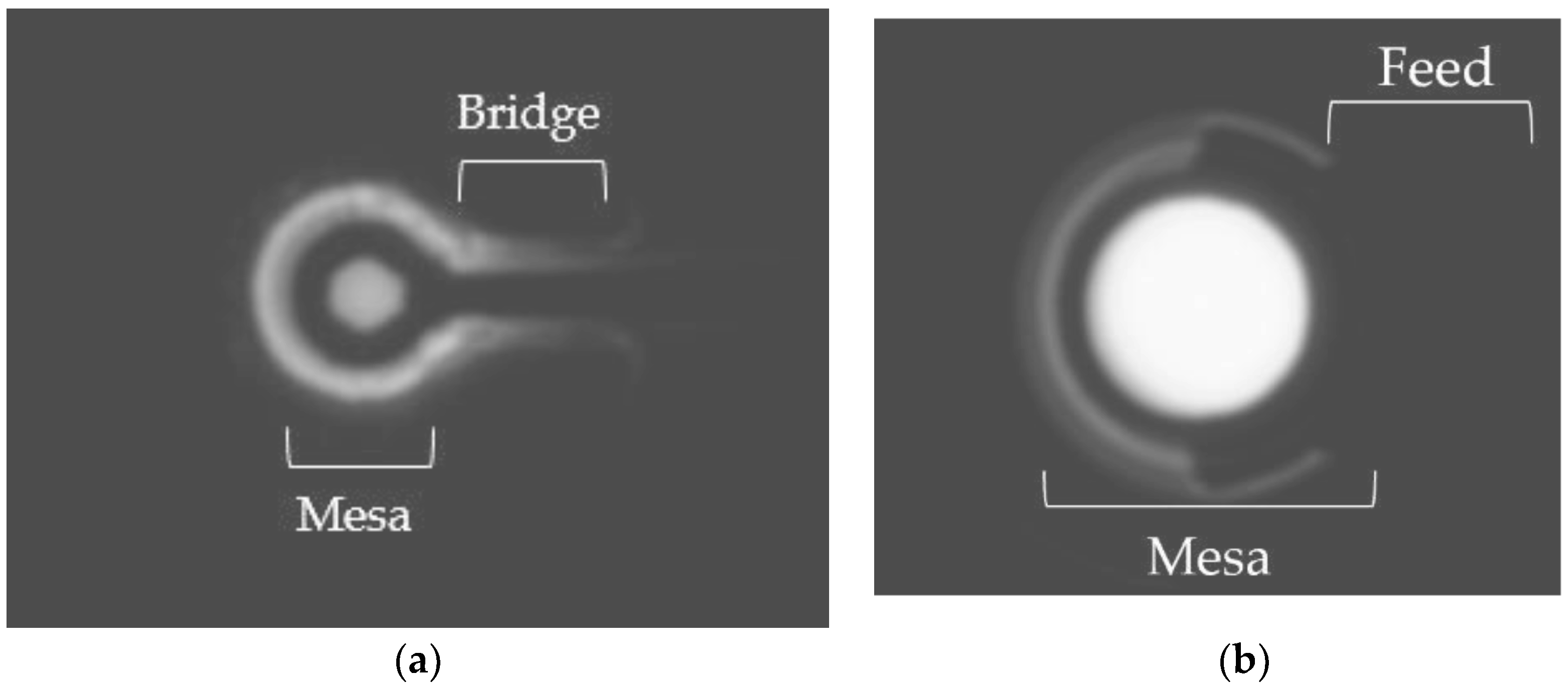 Applsci 11 09369 g003